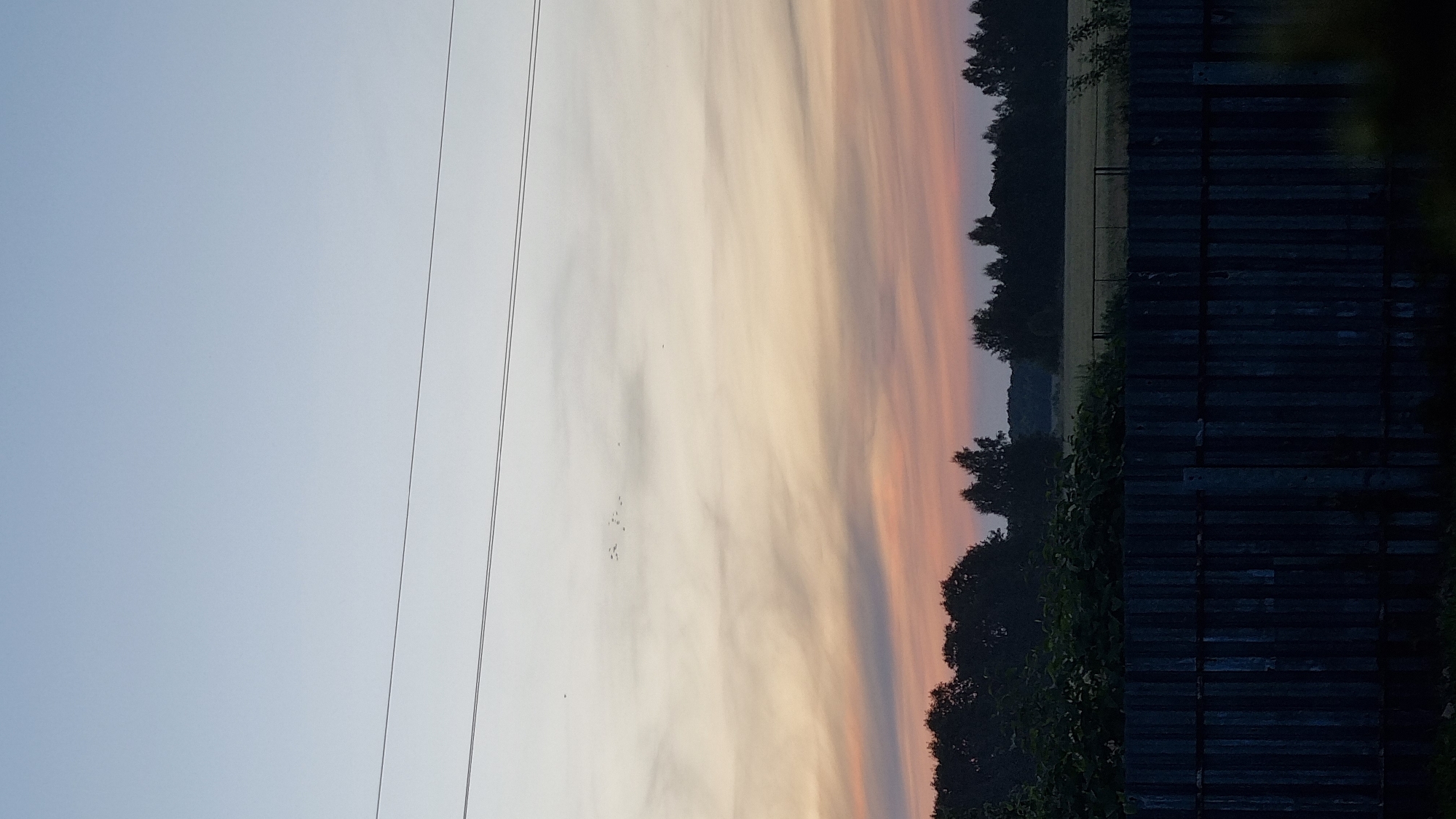 A distant, dark wooden fence spans the foreground of the image, with a field and a line of trees forming the middle ground under a pastel sky. The sky transitions from a pale blue at the top to shades of orange, pink, and white near the horizon, suggesting either sunrise or sunset. Two thin power lines stretch horizontally across the upper portion of the sky. In the upper center of the sky, a small flock of birds is visible. The overall scene depicts a rural landscape at dusk or dawn. The location is identified as Vysokoe, Russia.