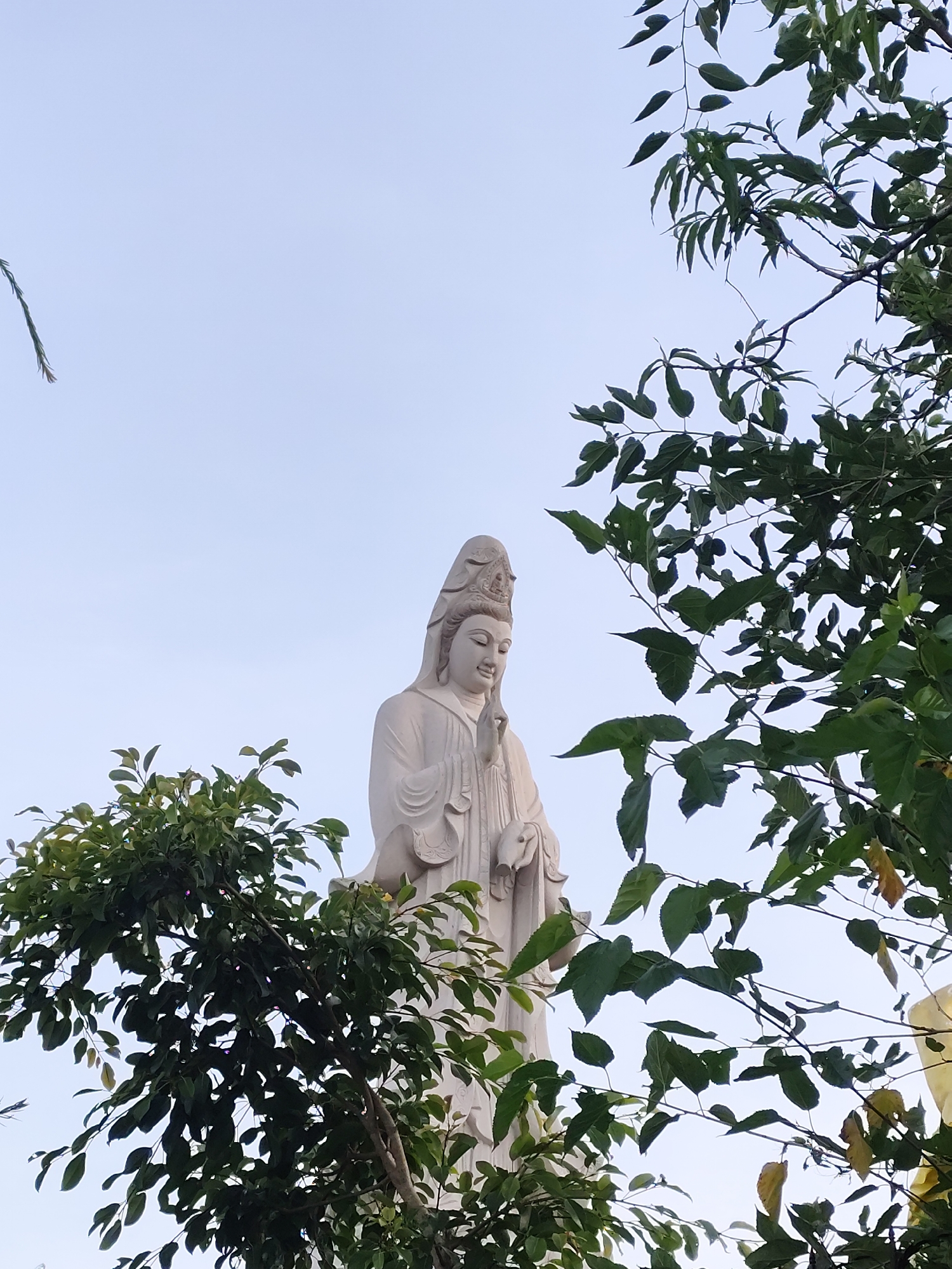 The image shows a tall, white statue of Guanyin (Avalokitesvara), partially framed by green foliage. The statue is viewed from below and is set against a light blue sky. The leaves and branches are dense on both sides of the statue. The image was taken in the city of Cam Ly - Đà Lạt, Vietnam.
