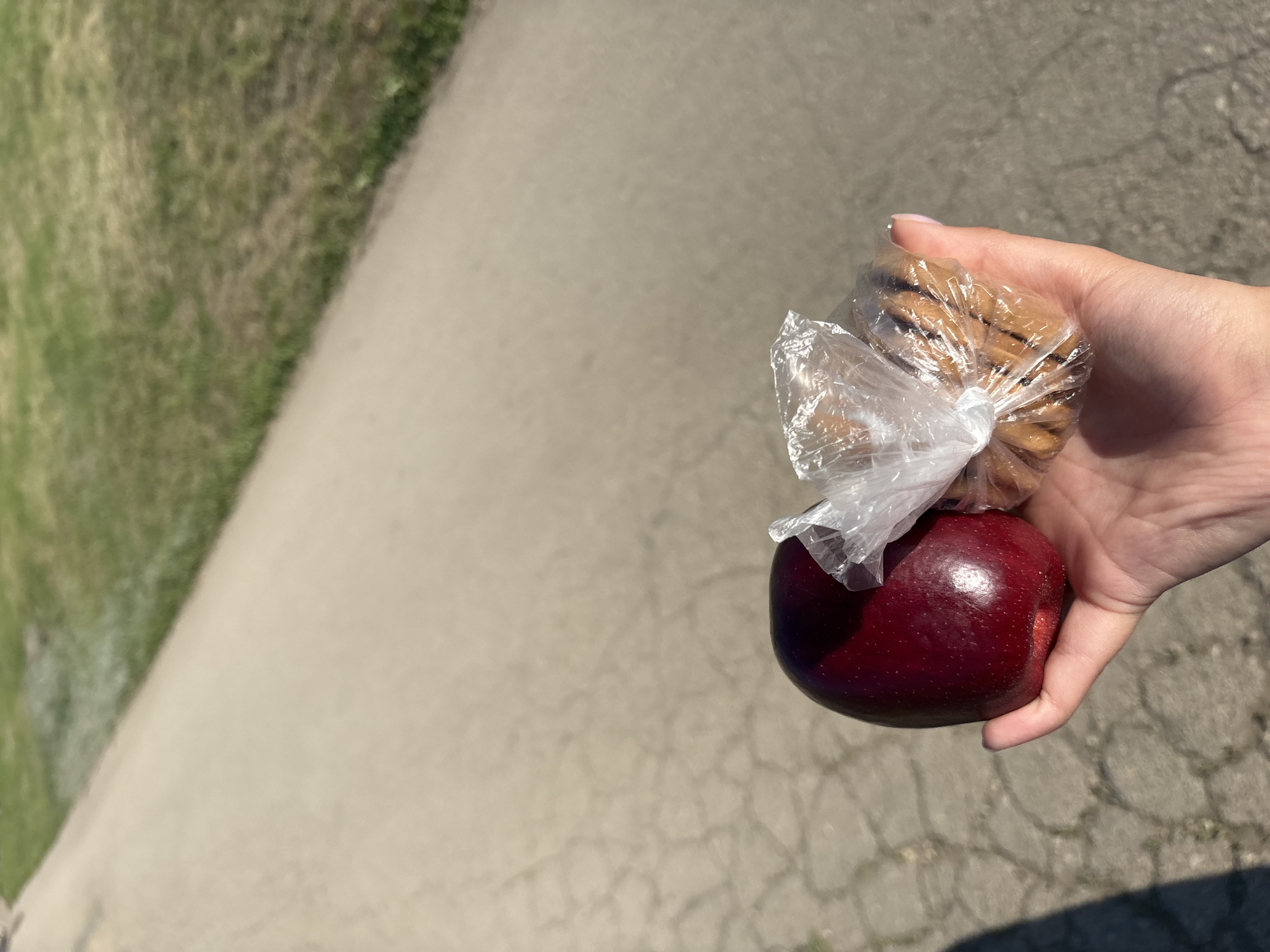 A hand holds a red apple topped with a plastic bag of cookies. The background is a cracked sidewalk adjacent to a grassy area. The location is not discernible as Khvalynsk, Russia, from the available visual information.