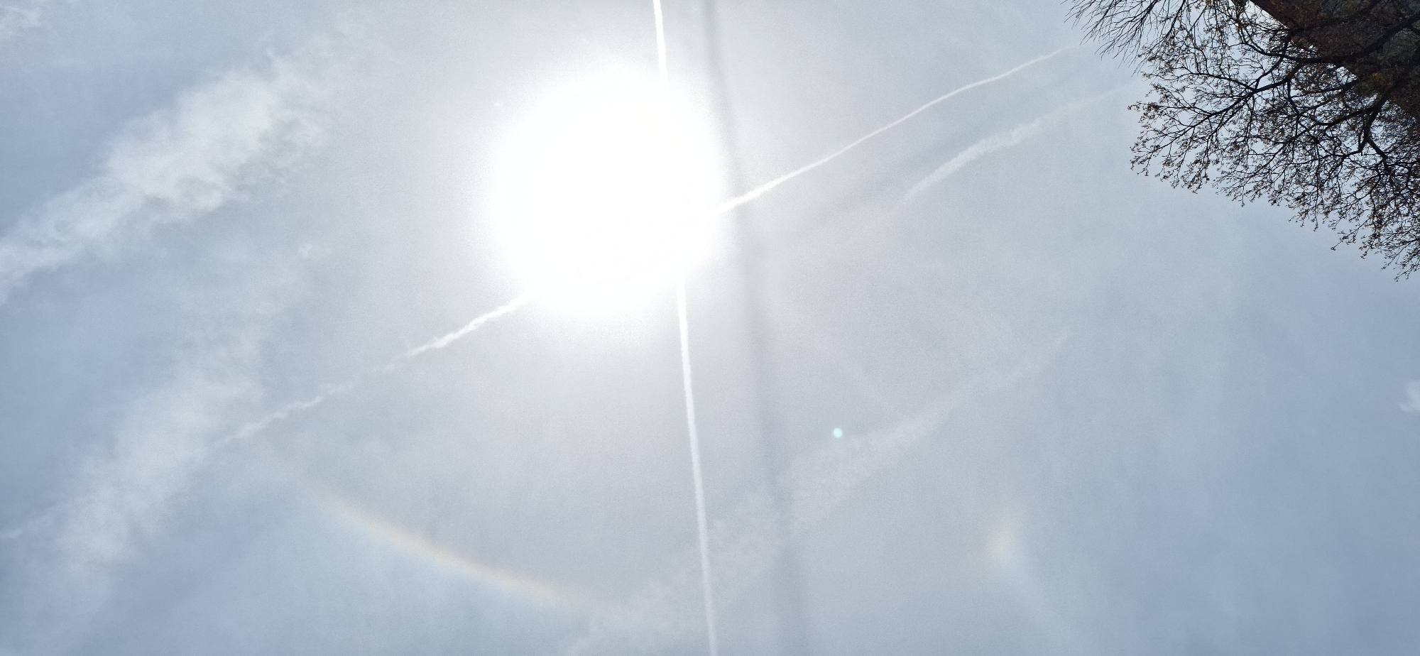 The image shows a bright sun in a partly cloudy sky, with a halo visible around the sun. There are airplane contrails in the sky, forming a cross shape. Bare tree branches are visible in the upper right corner of the image. The location is likely in Blagoevgrad, Bulgaria, based on the user's prompt.