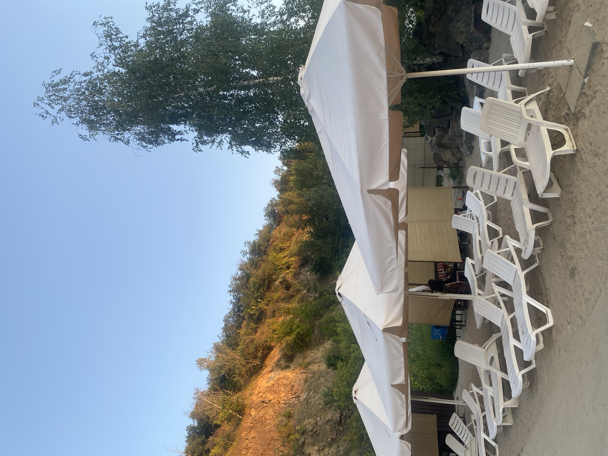 The image shows a beach with rows of empty white plastic lounge chairs and large white umbrellas providing shade on a sandy surface. In the background, a wooded hillside with some rocky outcrops is visible, with the sun casting a warm glow on it. A tall birch tree stands prominently on the right side of the frame, reaching towards a clear blue sky. Several small, light-colored wooden structures, possibly changing rooms or small cabanas, are situated behind the lounge chairs. There are no people visibly interacting with the lounge chairs or umbrellas, suggesting the scene is either before or after peak hours, or perhaps an off-season setting. The overall impression is one of a quiet, well-maintained beach resort area, likely in a natural setting. Without additional information, pinpointing the exact location within Dnipro, Ukraine is not possible, but it depicts a recreational area likely situated near a body of water or a landscaped park.