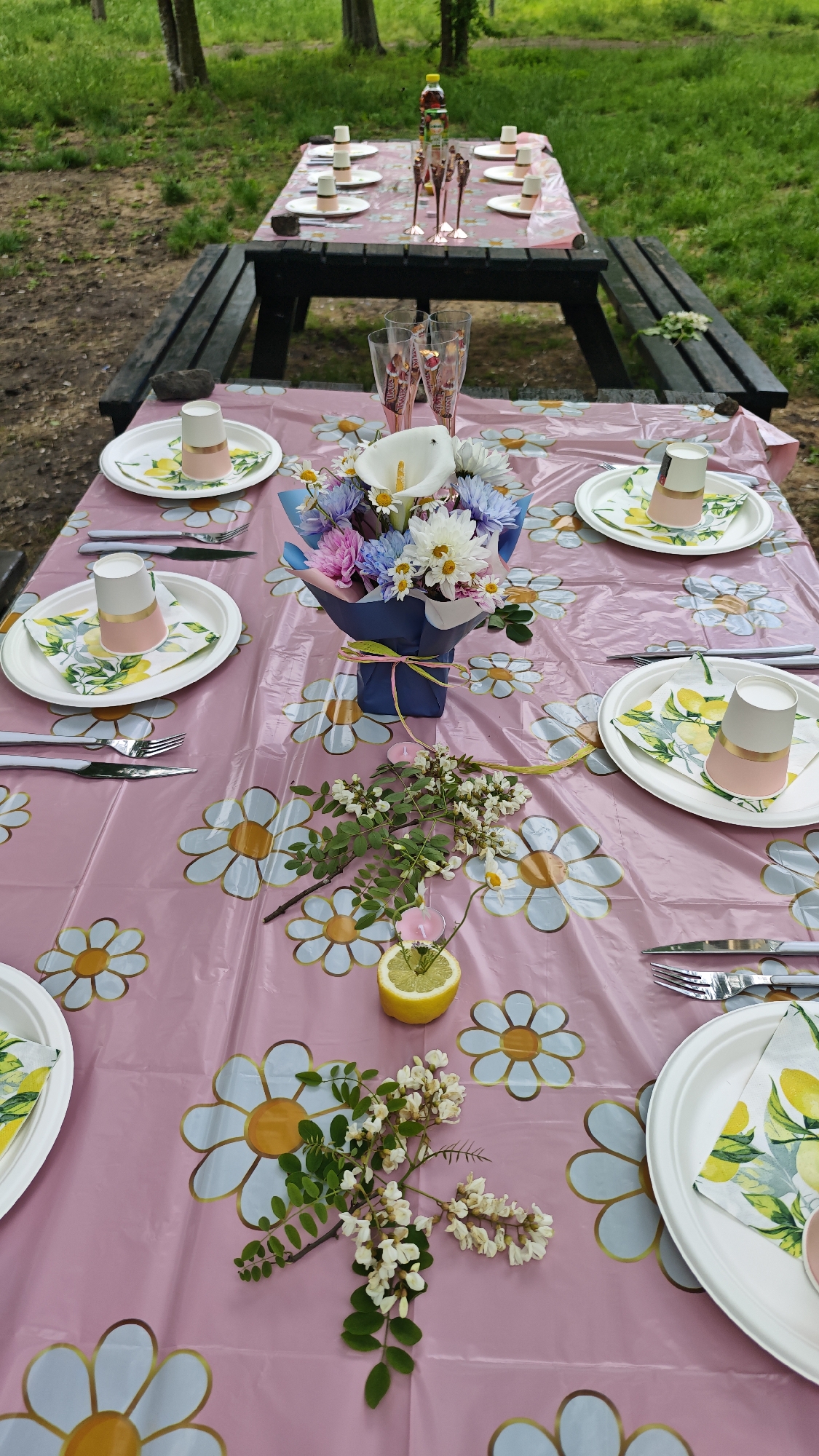 The image shows an outdoor picnic setting, likely in a park or garden. A picnic table is covered with a pink plastic tablecloth patterned with white and gold daisies. There are settings for six people, each with a white plate, a napkin with a lemon print, and a pink and gold paper cup. Silverware is arranged on either side of each plate. In the center of the table is a floral arrangement in a blue vase, featuring calla lilies, daisies, and other flowers. A half-cut lemon with sprigs of white flowers and leaves is also placed on the table. In the background, another picnic table is visible with similar settings, including tall glasses, possibly for a celebratory drink. The location seems to be a grassy area with trees in the background. While the presence of a similar picnic setting in the background of the image suggests a public park or outdoor area, nothing definitively associates the location with the city of Burgas, Bulgaria. The image doesn't reveal any specific landmarks, signage, or local elements that would confirm its location.