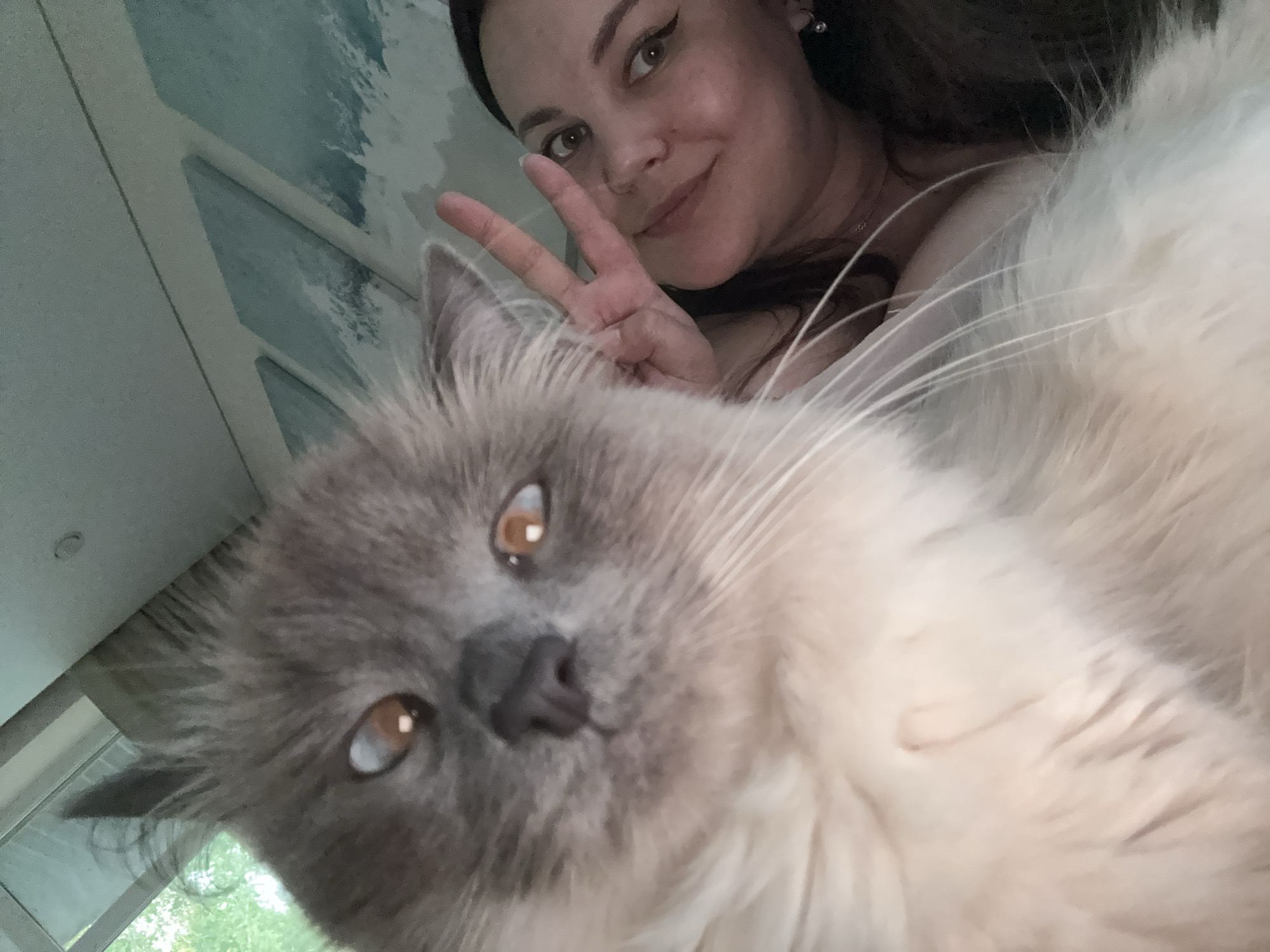 In a close-up, low-angle selfie, a woman and a fluffy, light-colored cat are featured. The woman, with dark hair and winged eyeliner, smiles as she holds up a peace sign with her right hand, partially obscuring the cat. The cat, with light grey fur and prominent whiskers, is positioned in the foreground, its face taking up a significant portion of the image. The background appears to be a wall with a blue and white abstract design, possibly a mural or wallpaper, and a hint of green foliage is visible outside a window on the left. The overall scene is intimate and casual. This image was taken in Neftekamsk, Russia.