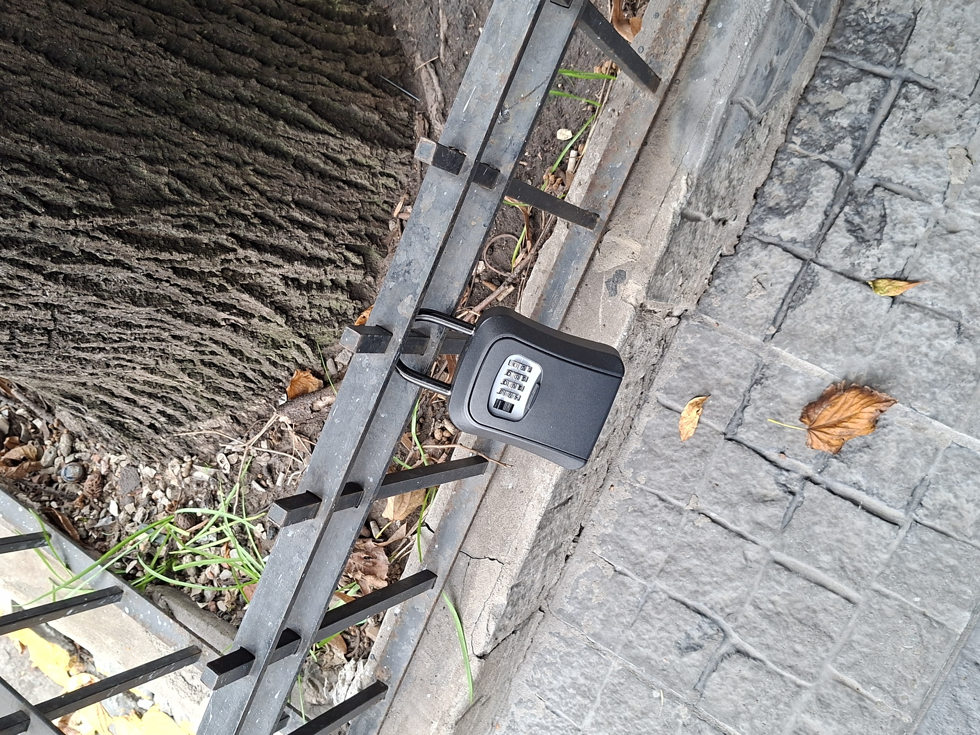 A combination lockbox is secured to a black metal railing. The railing is positioned next to a tree trunk and a paved walkway. A few fallen leaves are scattered on the pavement. This scene is likely located in Buenos Aires, Argentina, but there is insufficient information in the image to verify its exact location. No people or interactions are visible.
