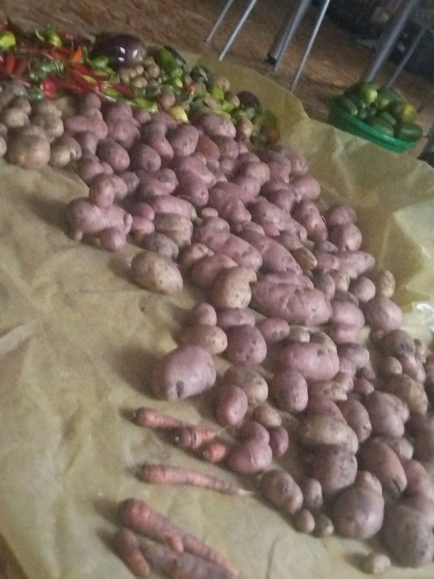 The image shows a pile of harvested root vegetables, including potatoes and carrots, spread across a light-colored tarp or fabric. In the background, there are other vegetables such as peppers, an eggplant, and cucumbers in a green basket. The scene appears to be an outdoor setting, possibly a harvest or market stall, given the natural lighting and the way the produce is displayed. There are no people visible in the image. The image quality is somewhat blurry, but the overall impression is one of fresh produce ready for sale or distribution.
Without additional information or visual cues, it is impossible to determine the specific location within the city of Zavodoukovsk, Russia.