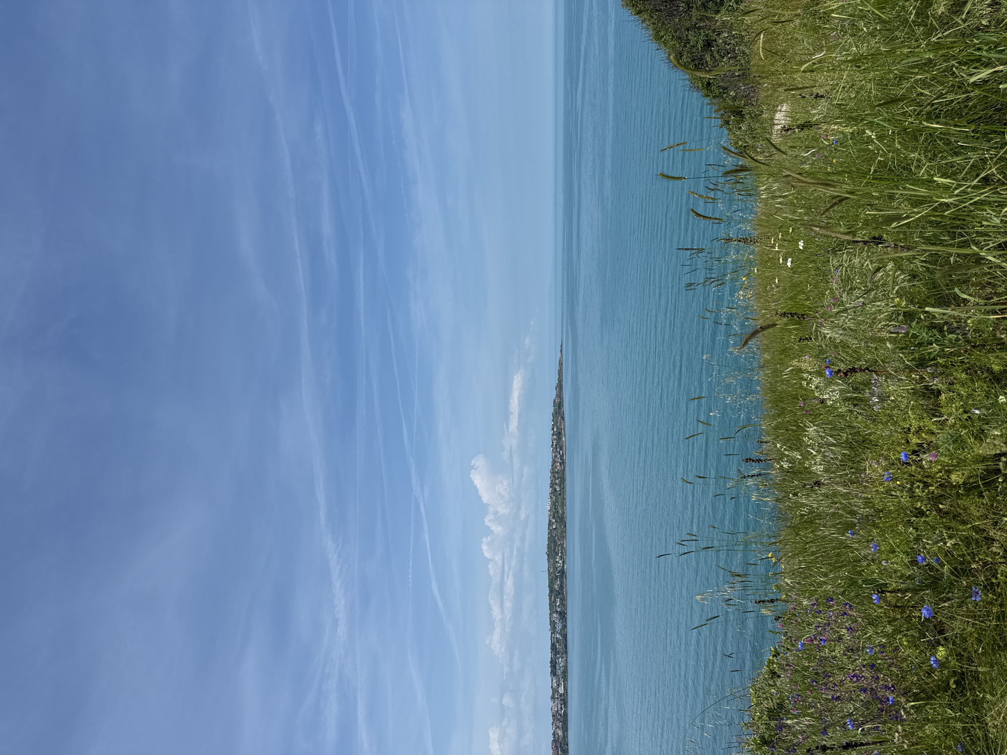 The image shows a coastal scene. On the right side, there is a grassy hill with wildflowers in bloom. The sea is visible, a deep blue color. A narrow strip of land can be seen in the distance, with buildings. The sky is light blue with some contrails and a few clouds. The scene appears to be taken from a high vantage point. The specific location is not discernible from the image.