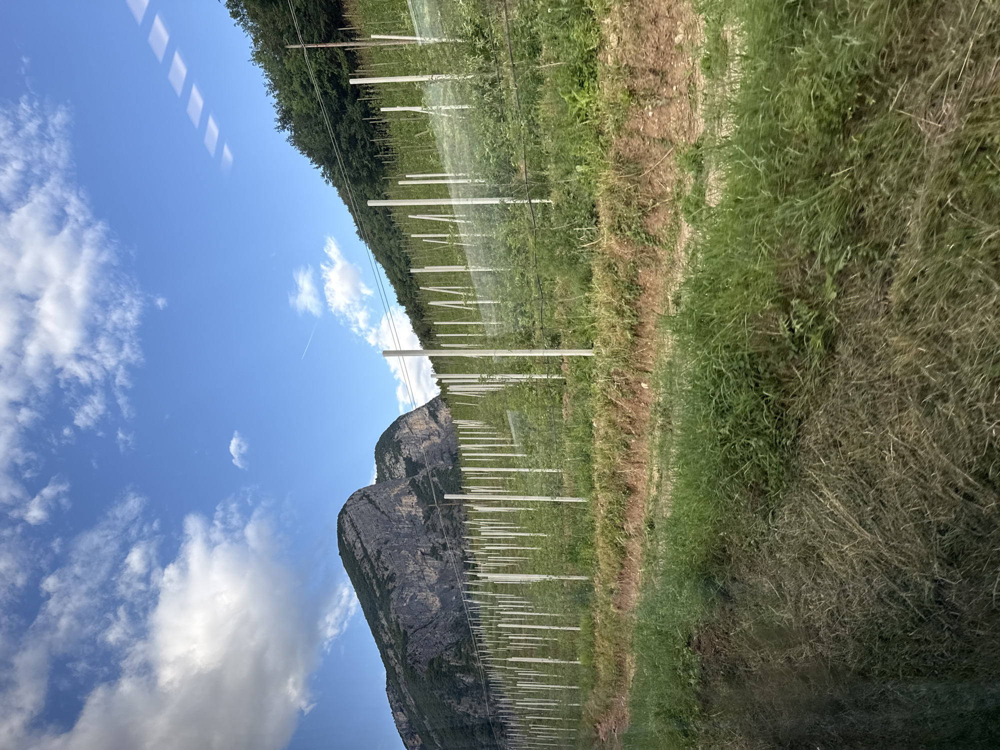 The image captures a landscape scene, likely taken from a moving vehicle due to the diagonal lines of light reflected on the blue sky. The sky is partly cloudy with white cumulus clouds. In the foreground, a field is visible, with rows of white poles supporting a protective netting, possibly for an orchard or vineyard. The field is bordered by a dense line of trees and a steep, rocky mountain. The lighting suggests it is daytime, with the sun casting shadows. The overall impression is of a rural, natural setting, possibly in the foothills of the Alps given the mountain's appearance. There is no visible text in the image.