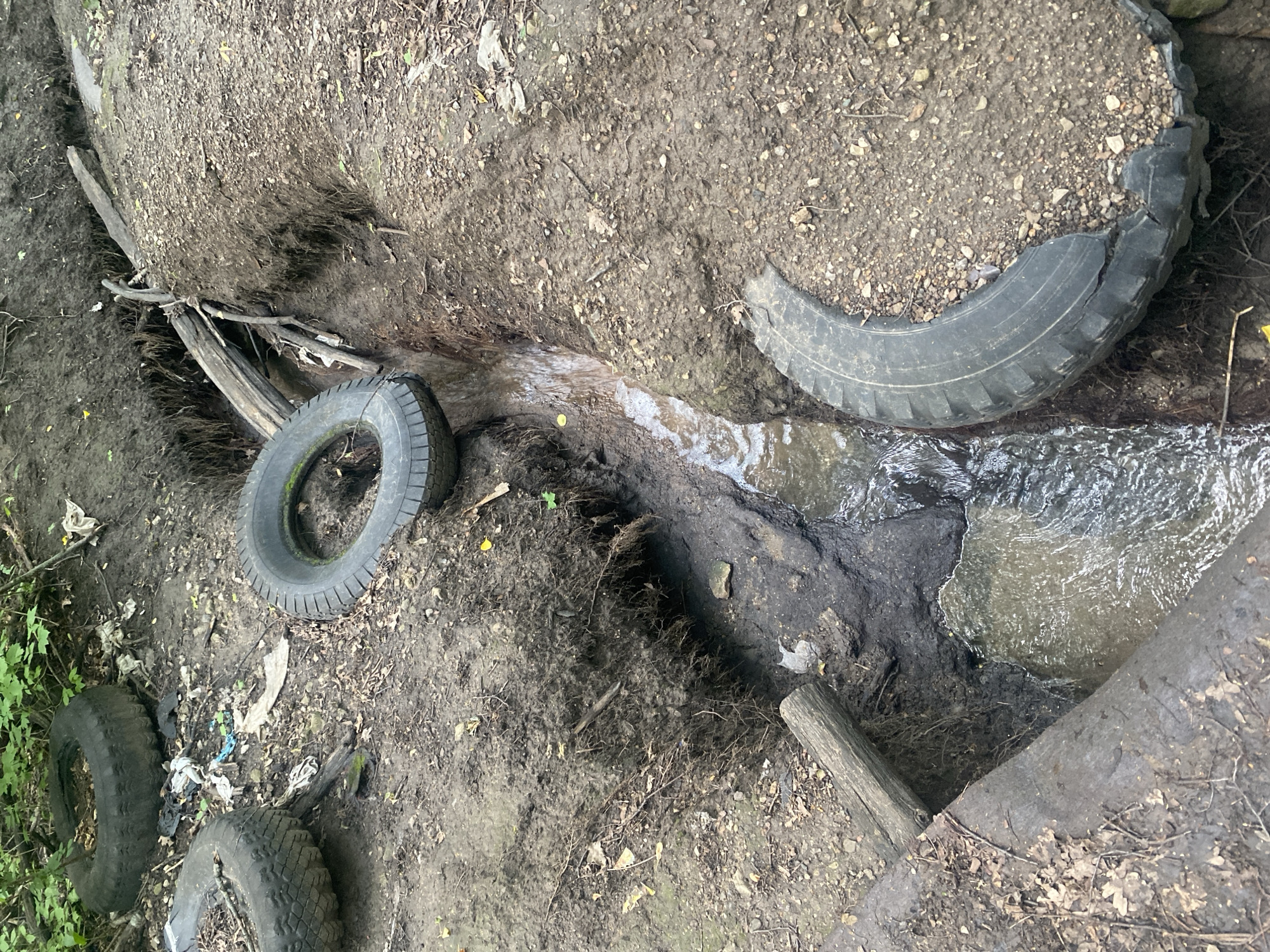 An outdoor, eye-level, medium shot captures a polluted natural ditch in a wooded area, possibly on the outskirts of Samara, Russia. The ditch is partially filled with murky water and littered with debris, including several old tires. One tire is lodged precariously on the edge of the ditch, its broken rim exposed. Another tire lies on the bank to the left, and a third is submerged in the water. Fallen leaves and branches are scattered across the muddy ground, and thick roots snake out from the eroded banks. Sunlight filters through the dense foliage overhead, casting dappled shadows on the scene.