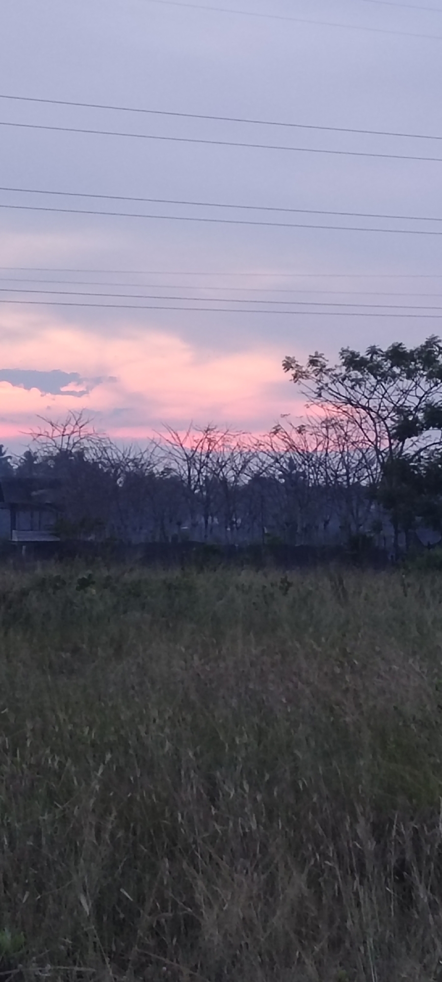 The photograph depicts a landscape in Lhokseumawe, Indonesia, at either dusk or dawn. The sky is a gradient of pink and light gray, with power lines stretching horizontally across the upper portion of the frame. Below the sky, a line of silhouetted trees is visible, with some trees having bare branches. There is a house at the base of some of the trees. The foreground is dominated by tall, grassy vegetation.