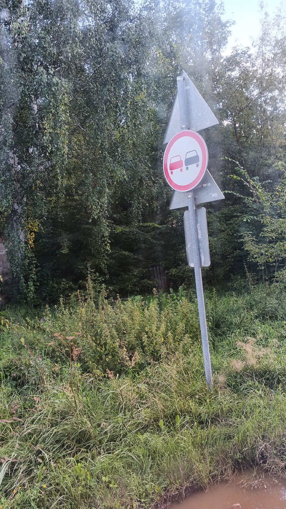 A traffic sign, indicating "no overtaking," is positioned next to a dirt road in a rural setting. The sign is mounted on a metal pole and features a red circle with a diagonal red bar over two cars, one red and one gray, to symbolize the prohibition. The background is dominated by lush green foliage, with trees and overgrown grass. To the right of the sign, a muddy puddle is visible, suggesting recent rain or damp conditions. The scene appears to be in a natural environment, possibly on the outskirts of the village of Kechevo, Russia, given the presence of a traffic sign that would be found in a populated area.