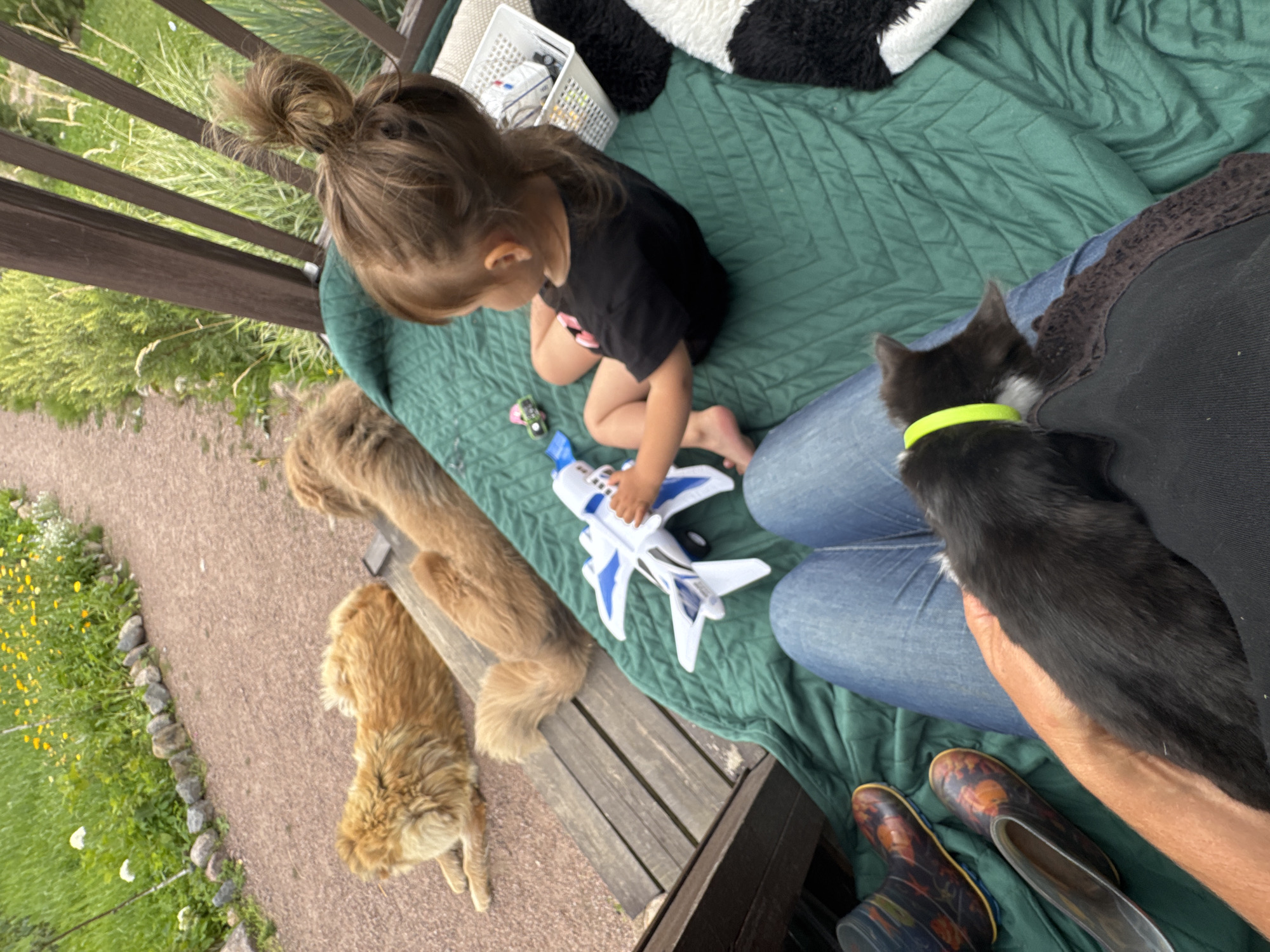 The image depicts an outdoor scene likely in Kempelevo, Russia, featuring two dogs, a young child, and a kitten. In the foreground, a person wearing blue jeans and a black shirt is seated, with a black kitten resting on their lap. To the left, a pair of patterned boots and a shoe are placed on a green quilted blanket. The child, with hair pulled into a bun, is sitting on the blanket, holding a white and blue toy airplane. A white basket containing toys is beside the child. In the background, two golden-colored dogs are resting on wooden planks. Beyond the wooden planks, a path made of gravel and stones is visible, bordered by green grass and yellow flowers. The overall environment suggests a relaxed, possibly backyard setting with natural elements.