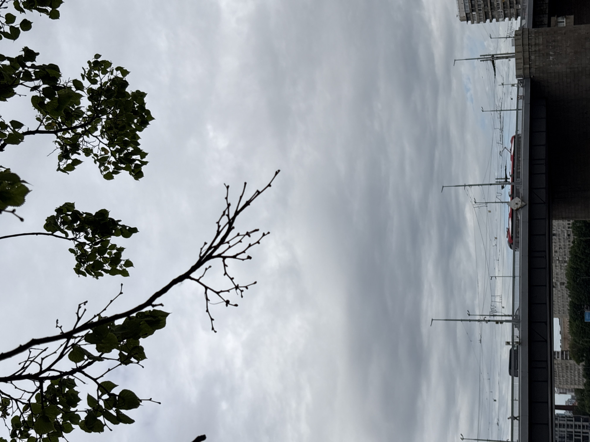 The image depicts a cloudy sky over a city scene in Saint Petersburg, Russia, focusing on a bridge and its surroundings. Silhouetted branches of a tree with sparse green leaves hang from the top of the frame. Below, a wide concrete bridge spans the frame horizontally. On the bridge, multiple lampposts and overhead power lines for trams are visible. A red and white tram is seen moving across the bridge from right to left. A black van is also present on the bridge, moving in the same direction. A single pedestrian is visible walking on the left side of the bridge. In the background, a tall apartment building with a distinctive facade stands to the right, and a lower building and trees are visible to the left. The overall atmosphere is overcast and somewhat muted in color.