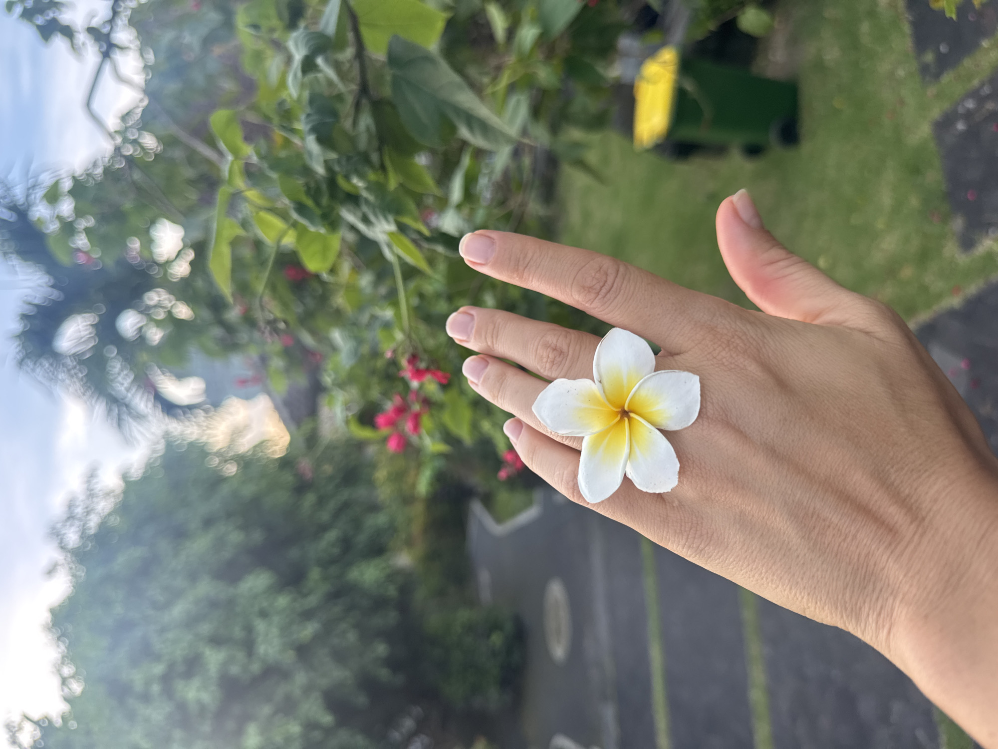 A person's hand is displayed with a plumeria flower resting on its back. The flower is white with a yellow center. The background consists of lush greenery and a glimpse of a sky with scattered clouds. A hint of a building or structure is visible behind the foliage. Kuta Selatan, Indonesia, is implied as the location due to the prevalence of plumeria flowers in tropical regions like Indonesia.