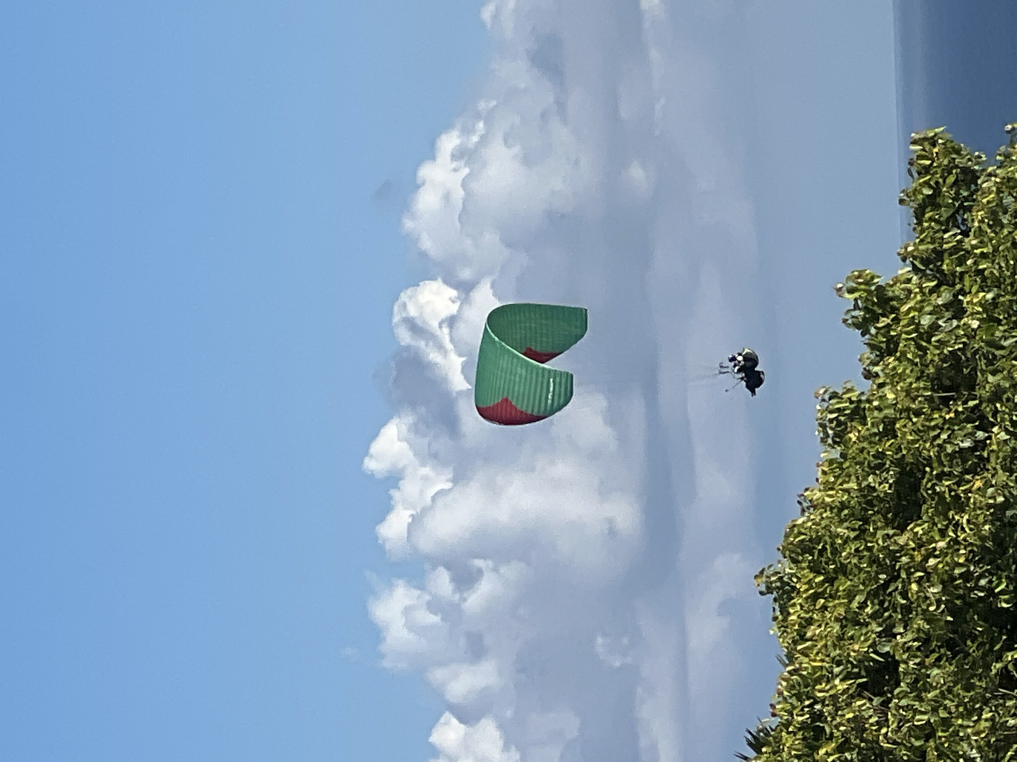 A paraglider, primarily green with red accents, is captured mid-flight in an outdoor scene. The sky is partially clear with a vibrant blue hue in the upper-left portion, while the right side and background showcase fluffy, voluminous white clouds. To the right of the paraglider is a dense green tree with lush foliage. The paraglider has a pilot wearing dark clothing and is harnessed to the parachute. The location is Unknown, Unknown.