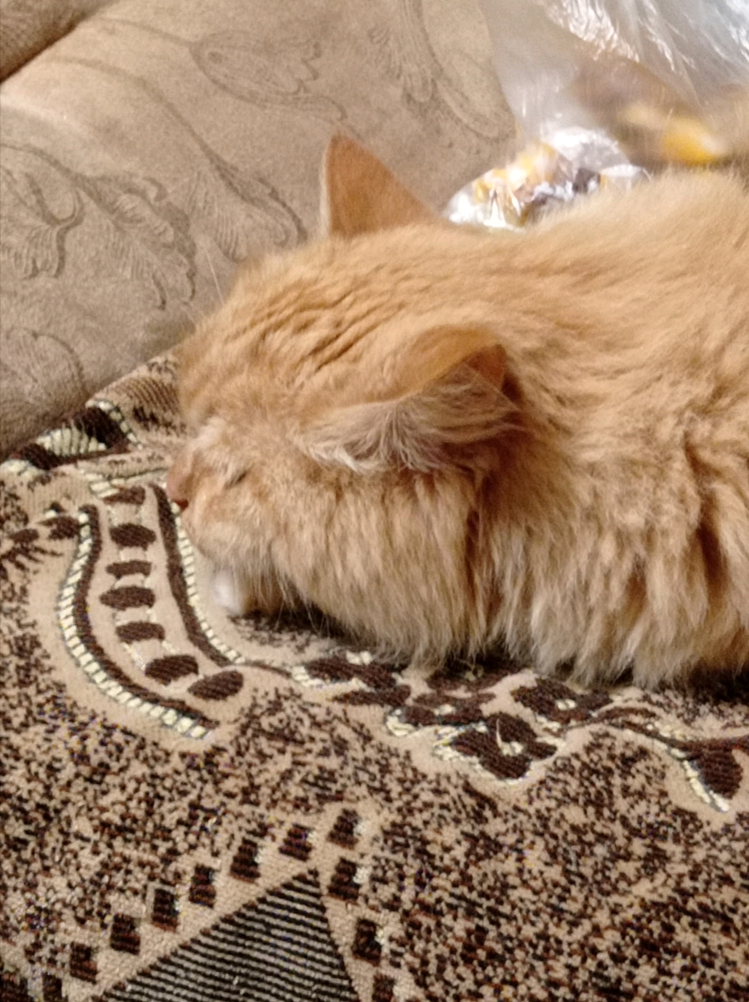 A fluffy, ginger cat is sleeping on a patterned blanket. The cat's head is resting on its paws, and its eyes are closed. The blanket has a brown and beige paisley pattern. The background is out of focus, but appears to be a sofa. The scene is indoors, and the lighting is dim. The image is a close-up shot, with the cat filling most of the frame. The overall impression is one of comfort and relaxation. This image was taken in the city of Degtyarsk, Russia.