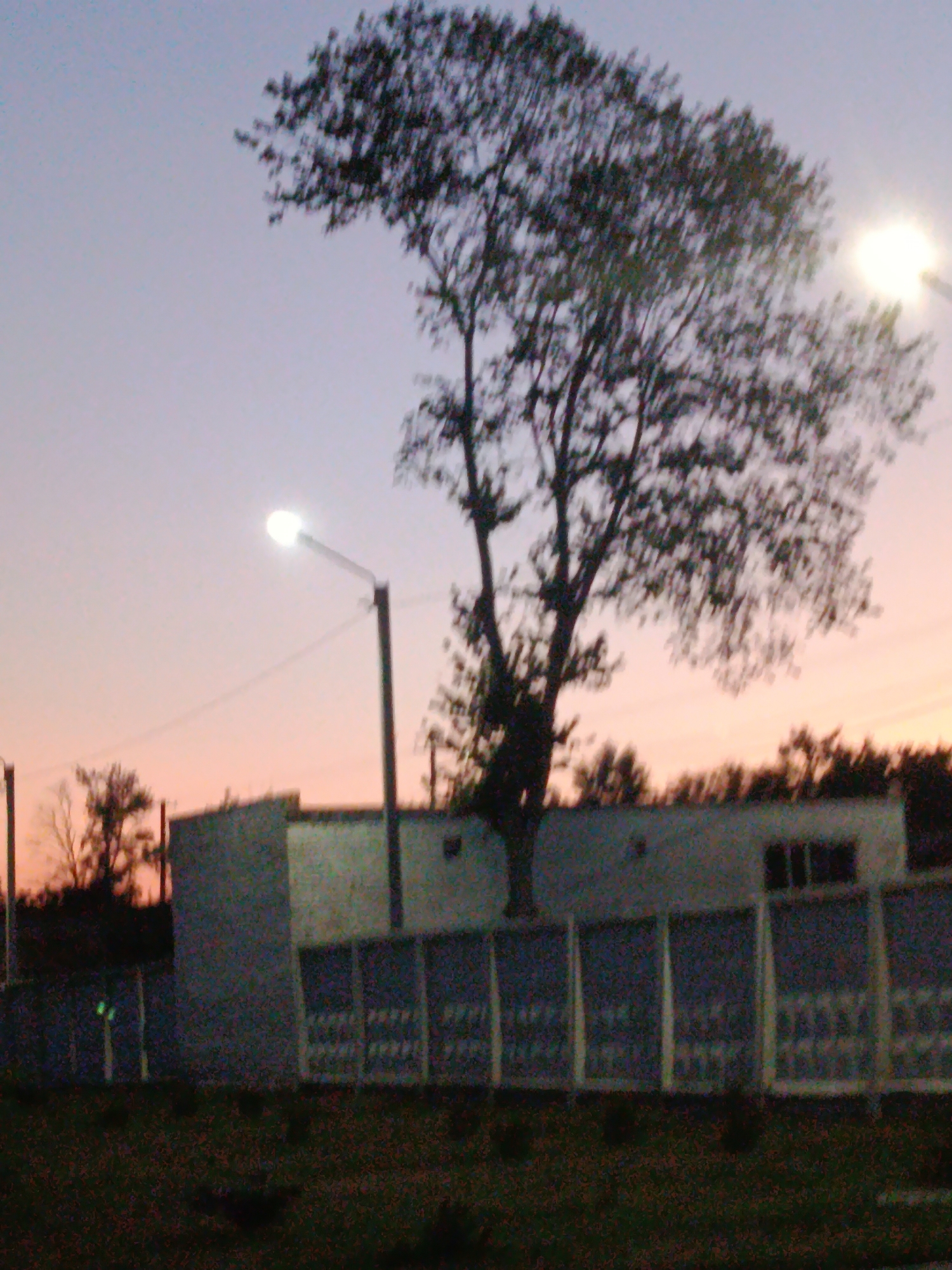 The image depicts an outdoor scene at dusk or dawn, with a gradient sky transitioning from light purple to pale orange. In the foreground, a large, silhouetted tree with sparse foliage dominates the center-left of the frame. To the right of the tree, a streetlamp with a bright, glowing bulb is visible, mounted on a pole.
In the middle ground, a low-rise building with a light-colored facade is present. The building appears to have some windows or openings. A fence with a patterned design runs in front of the building. More trees and vegetation are visible in the background, appearing as dark silhouettes against the sky. The overall impression is one of an urban or semi-urban environment, possibly on the outskirts of a town or city, given the presence of the building, streetlamp, and fence. The quality of the image is somewhat grainy and lacks sharp detail.