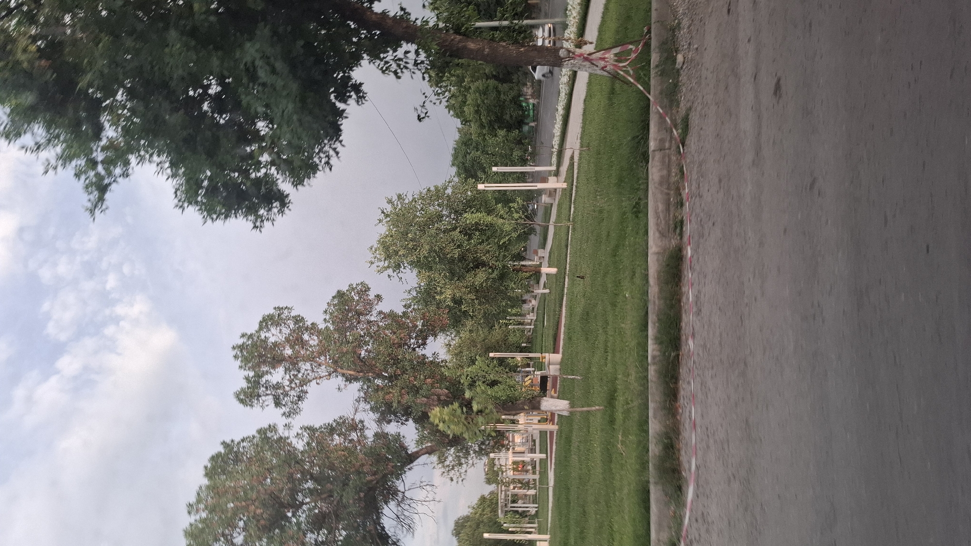 The image shows a park area in Shymkent, Kazakhstan, with a paved road in the foreground. The park features a well-maintained green lawn, several trees of varying sizes, and decorative white lamp posts. In the background, there are more trees and a street with cars driving by. The sky is overcast with some clouds. A tree trunk on the right side of the image is wrapped with red and white caution tape.