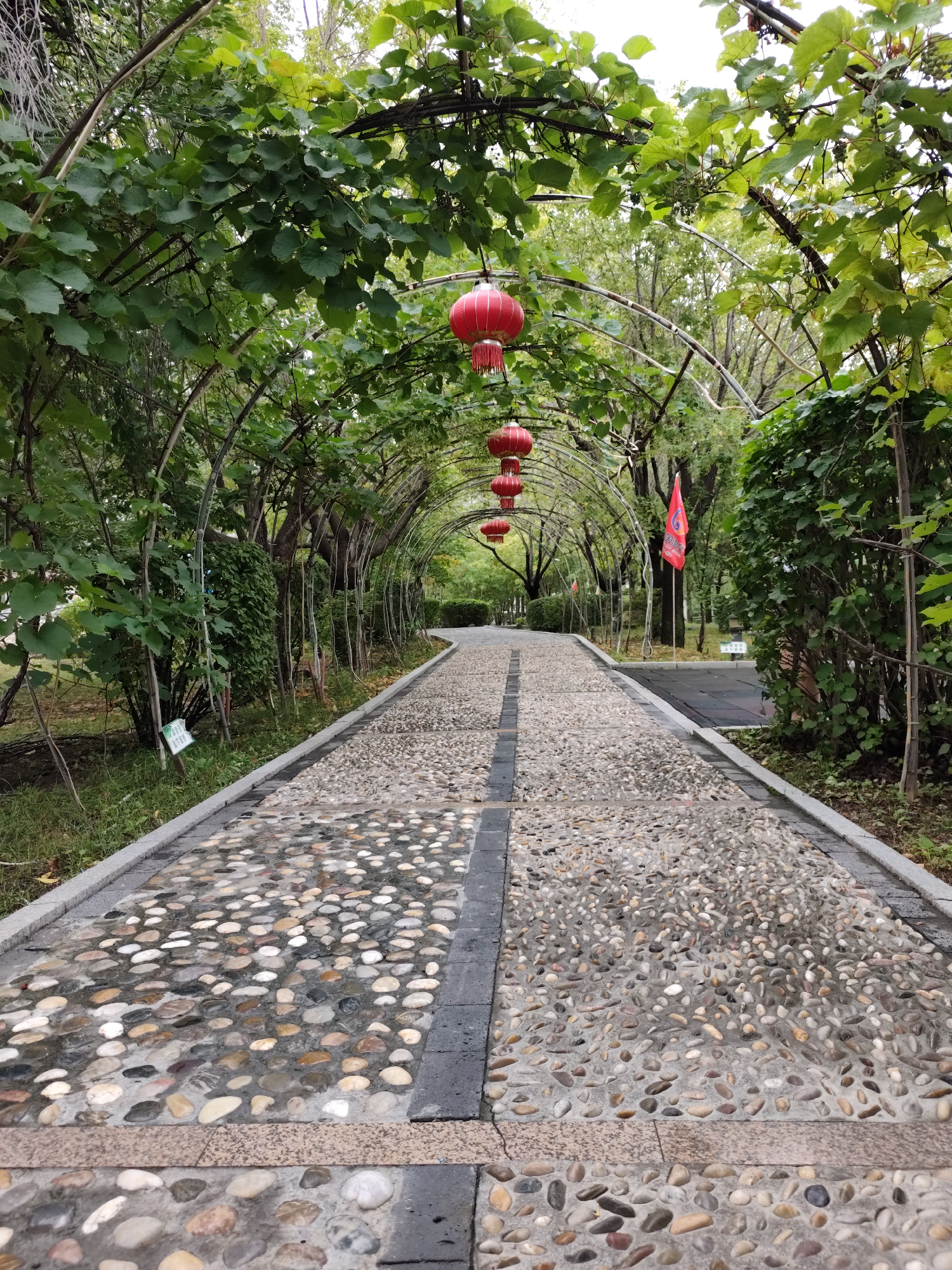 A paved pathway with a pebble-like surface curves through an arched walkway lined with lush green trees and vines. Red lanterns are suspended at intervals along the archways, and a red flag with Chinese characters is visible in the distance. The path is bordered by grass and more greenery. The scene appears to be in a park or a public garden.