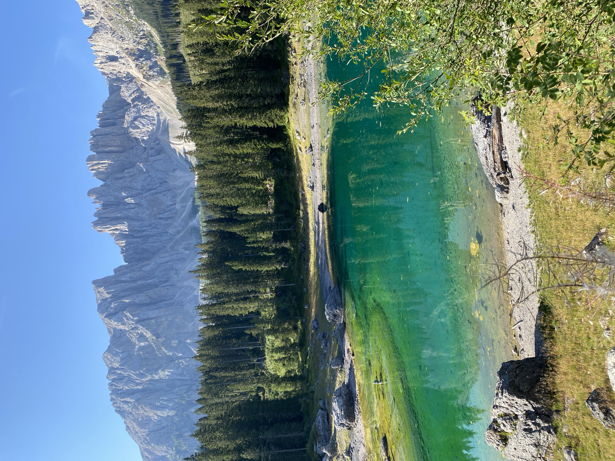The image depicts a scenic view of a mountain lake with surrounding evergreen trees and jagged mountain peaks. The lake's water is a vibrant emerald green, with clear visibility of the rocky bottom in the shallower areas. The shore is characterized by a mix of large rocks, pebbles, and dry grass. In the distance, a dense forest of tall, dark green coniferous trees stretches across the landscape, leading up to imposing, grey, rocky mountains that dominate the horizon. The sky is a clear, bright blue, suggesting a sunny day. A single person, appearing as a small silhouette, is visible standing in the shallow part of the lake near the shore on the left side of the frame. The overall scene captures the natural beauty of the alpine region.