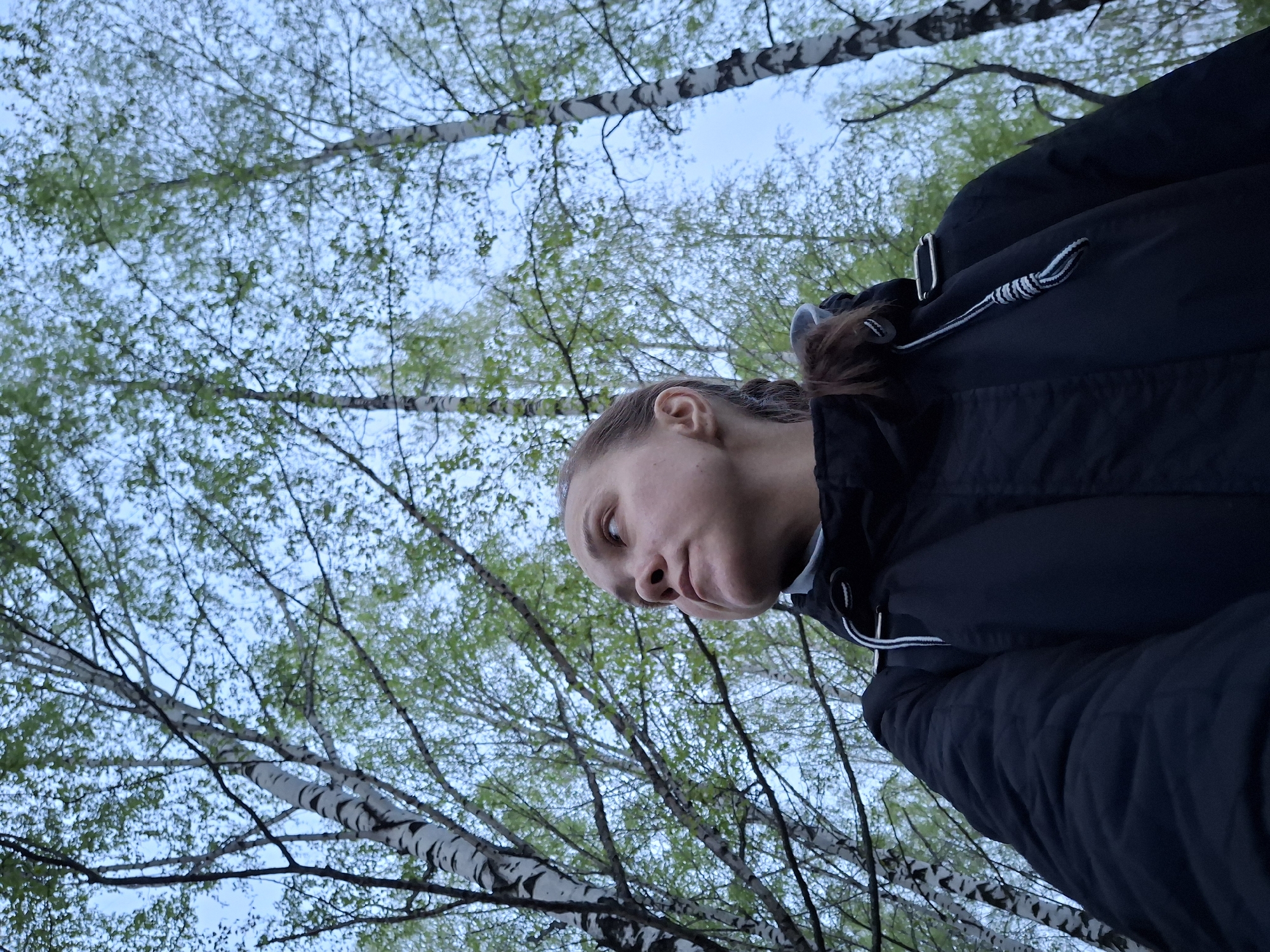 A low-angle shot looking up into birch trees in the city of Chaikovsky, Russia. A person wearing a dark-colored jacket is looking down towards the camera. The birch trees have green leaves and white bark with black markings. The sky is a pale blue.