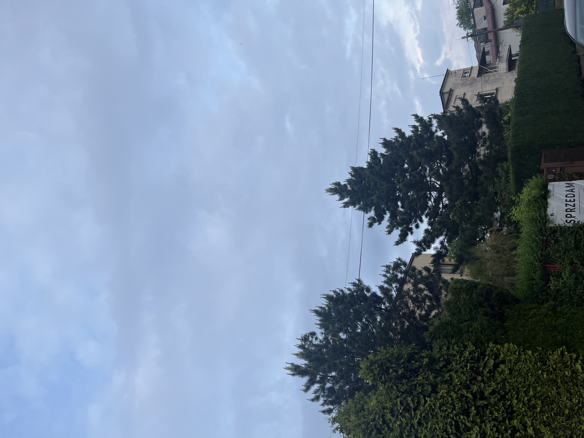 The image is a daytime outdoor scene, captured and presented in a landscape orientation, though the subjects suggest it was originally taken in portrait mode and rotated 90 degrees counter-clockwise.
The left half of the frame is dominated by a mostly overcast sky, displaying varying shades of light blue and grey clouds with some brighter, lighter blue patches visible. A thin, dark utility line or cable stretches diagonally across the sky from the upper right toward the middle left.
The right half of the image features dense green vegetation. Two prominent, tall coniferous trees with dark green needles and lighter, yellowish-green new growth are visible. Below and in front of these trees are dense, manicured hedges or shrubs. Behind the greenery, parts of two multi-story buildings are visible. These buildings are light-colored, possibly beige or pale grey, and show features like windows and balconies. One building has a distinct antenna or pole extending from its roof.
On the far right edge of the image, nestled within the green hedge, is a dark rectangular sign with white lettering. The word "SPRZEDAM" (which means "FOR SALE" in Polish) is clearly legible. Above this, smaller, partially obscured text includes "www.by**TA**.pl" or similar, along with "EST".
No people are visible in the scene, and no specific activity is taking place. The soft, diffuse lighting indicates a cloudy day. The presence of the Polish word "SPRZEDAM" strongly suggests the location is in Poland.
