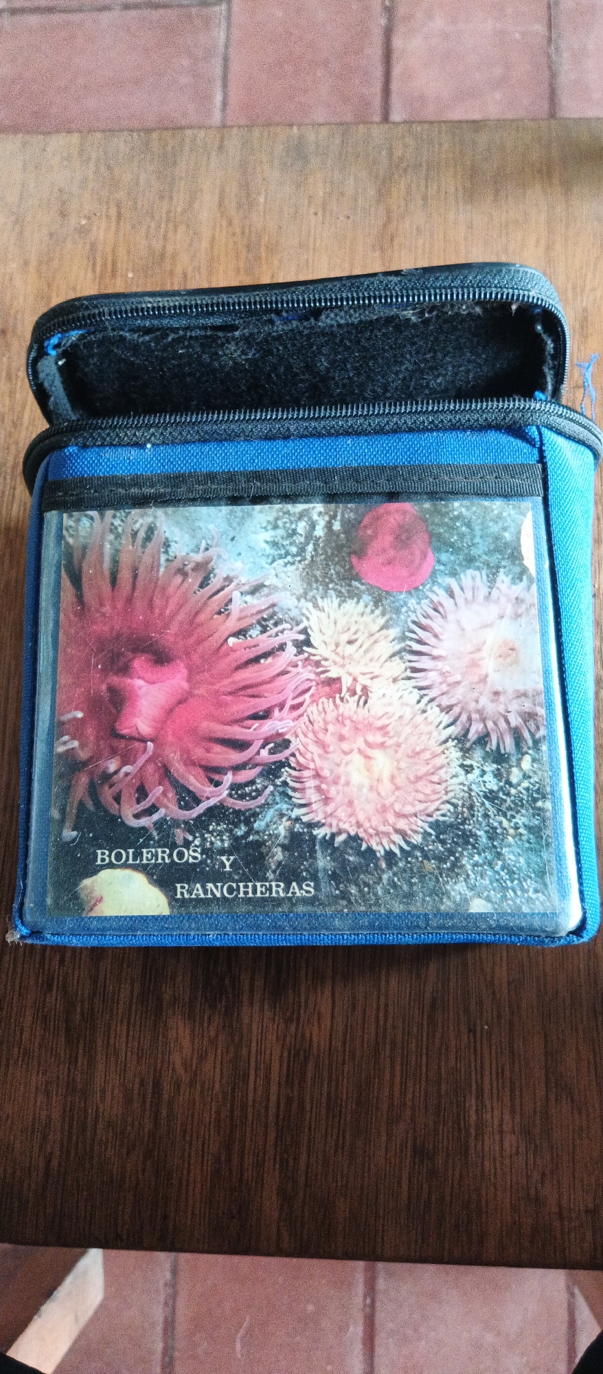 This media file shows a close-up of a blue fabric case with a zippered opening. The case has a clear plastic window on the front, revealing an image of several sea anemones. The anemones are in various shades of pink and white, with intricate, tentacle-like structures. One prominent anemone in the foreground is a vibrant pink, while others behind it are lighter pink and white. The background of the image appears to be a dark, underwater setting with some speckling that might represent sand or small debris.
Below the image of the anemones, there is visible text in a serif font. The text reads "BOLEROS Y RANCHERAS". The case itself is resting on a wooden surface, which has a visible grain pattern. Behind the wooden surface, a reddish-brown tiled surface is partially visible. The overall impression is of a decorative case, possibly for storing or displaying something related to music or a collection, with a nature-themed image on the front. The lighting suggests it is daytime, and there are no specific weather cues. No people are visible in the media file. The location context of La Tagua, Venezuela, does not directly inform the visual elements of the image itself, but implies a potential origin or context for the object.