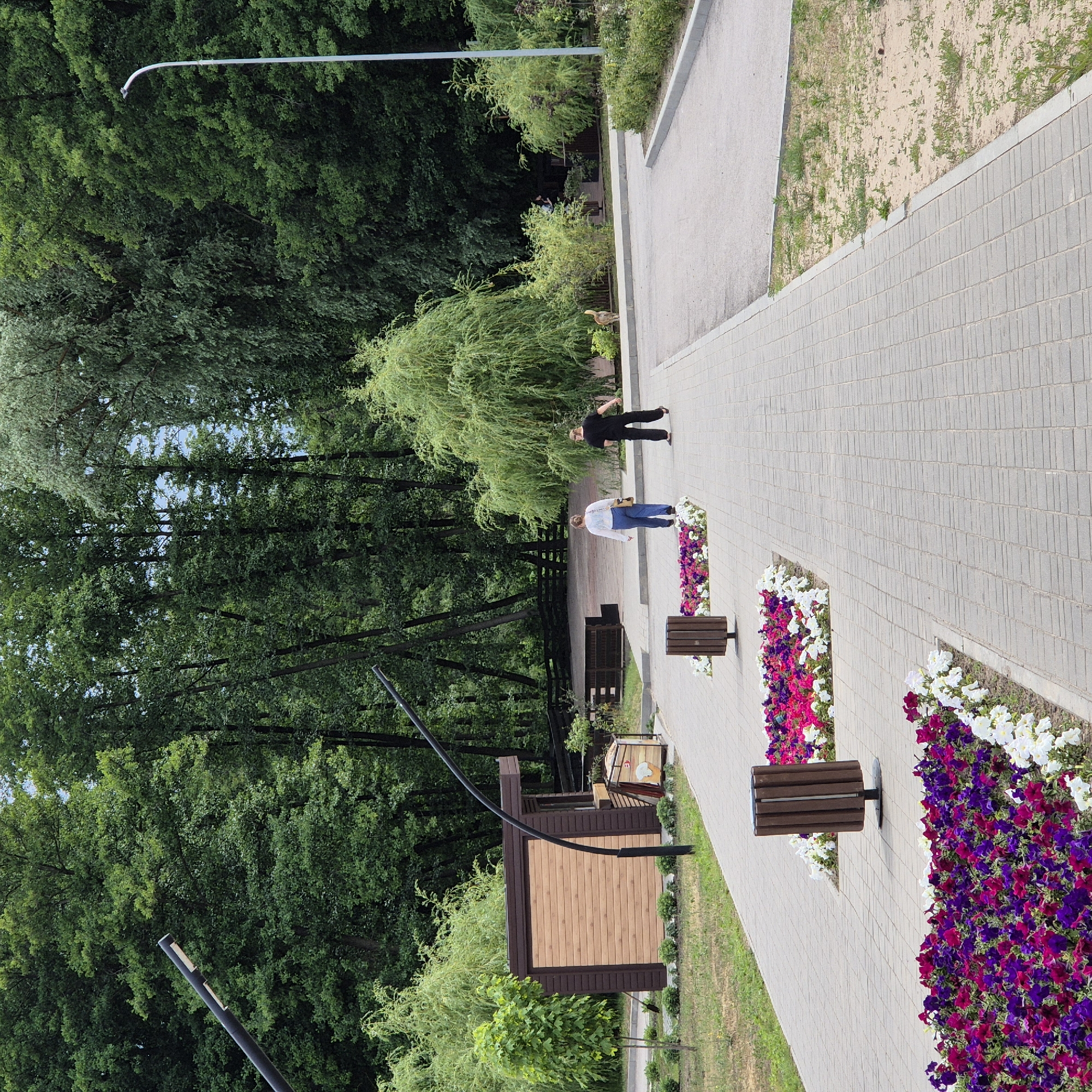 In the city of Liski, Russia, an image depicts a paved pathway in a park-like setting, bordered by lush green trees. Two individuals are walking away from the camera on the pathway. One is wearing a white shirt and blue pants, carrying a shoulder bag. The other is wearing a black t-shirt and black pants. Flower beds with vibrant pink, purple, and white flowers are interspersed along the pathway. Wooden trash receptacles are positioned near the flower beds. To the left, a small wooden building with a brown roof and wood-paneled siding is visible. A tall, curved black lamppost is situated to the left of the building, and another white lamppost stands further down the pathway on the right. A young tree with green leaves is planted to the left of the building. The ground beside the pathway is covered in grass and sand with sparse vegetation. The overall scene suggests a well-maintained public space.