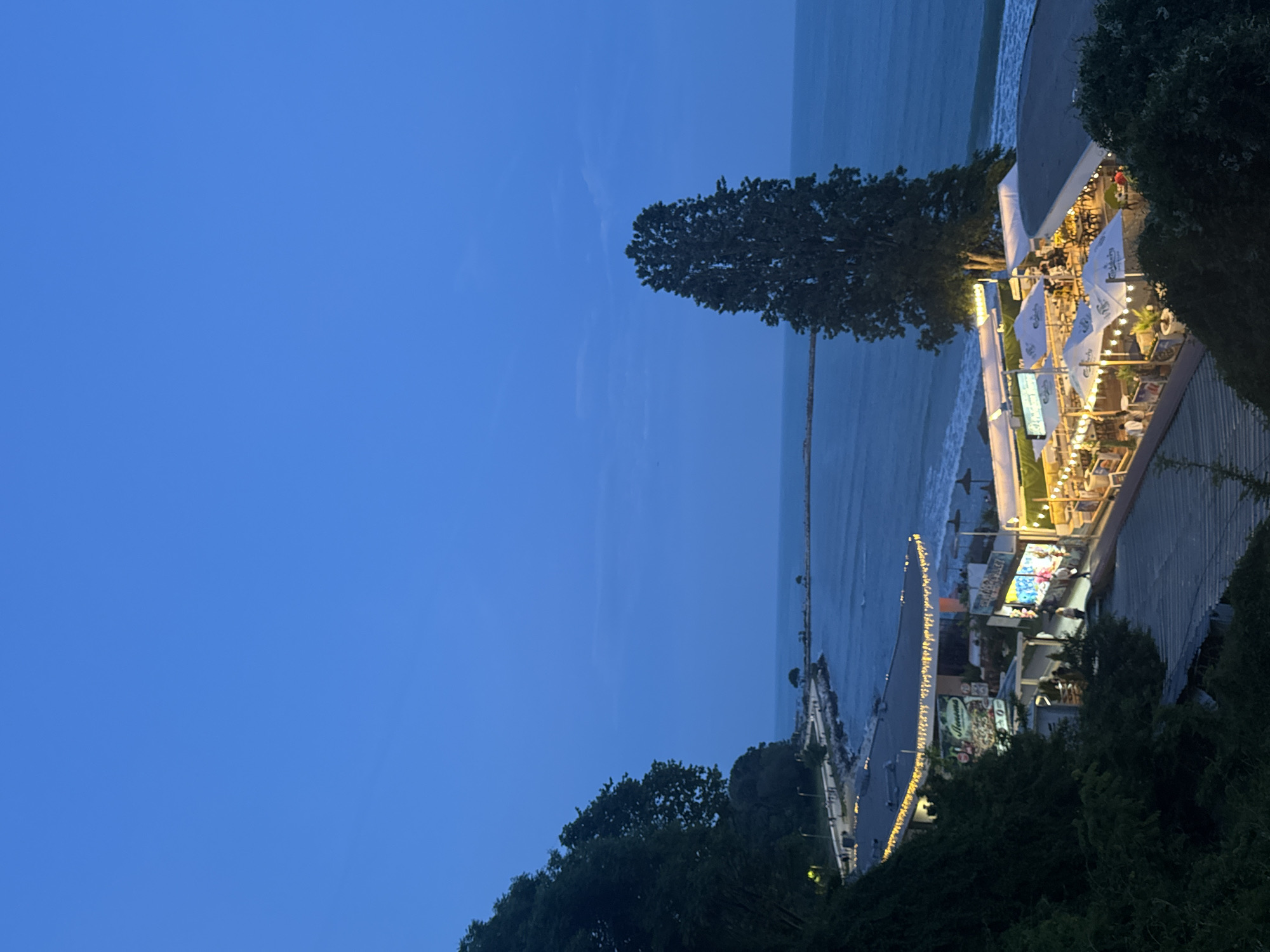 The image depicts a vibrant coastal scene in Varna, Bulgaria, observed from an elevated perspective during dusk or early night. The sky, a deep clear blue, dominates the upper part of the frame, meeting the dark, calm expanse of the sea at the horizon. Gentle waves are visible along the shoreline.
In the foreground and framing the scene, dark green foliage and trees indicate a vegetated hillside or cliff. A distinctive, tall, slender tree with a dense, rounded canopy stands out against the backdrop of the sea and sky, slightly off-center.
Along the coastline, a lively promenade or beach area is brightly illuminated by artificial lights, creating a warm ambiance. A prominent outdoor restaurant or cafe on the right features numerous white umbrellas, tables, and chairs where indistinct figures of people are seated. String lights crisscross the area, adding to the festive atmosphere. Text on the umbrellas is partially visible, appearing to be a brand logo. Further along the promenade, more illuminated establishments are visible. Visible text includes a sign that reads "Seasons" or "Seasons by...", and another sign advertising ice cream. A long, narrow structure, possibly a pier or breakwater, extends into the sea on the right side of the image. The overall impression is one of a peaceful yet active resort area enjoying the evening.