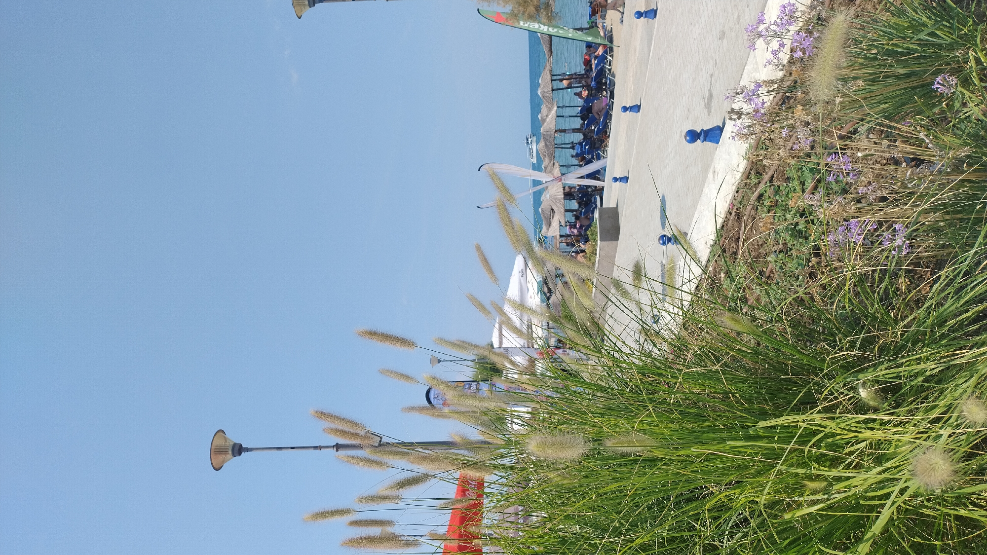 This is a full-frame, eye-level shot of a paved promenade in Perea, Greece, bordering a beach. In the foreground, a dense cluster of tall green grass with feathery seed heads dominates the left side of the frame, obscuring part of the background. To the right of the grass, a pathway made of light-colored rectangular pavers is visible, lined with small, bright blue bollards. Beyond the pathway, a beach area is set up with numerous straw-thatched umbrellas providing shade over rows of lounge chairs. People are seated on the chairs, facing the sea. A boat is visible on the calm, blue water. The sky is clear and light blue. A lamppost with a modern design is present on the left side of the image, and another is partially visible on the far right. In the mid-ground, some white tents or canopies are set up. A green flag with red lettering is visible on the far right. The overall scene depicts a typical sunny day at a beach resort.