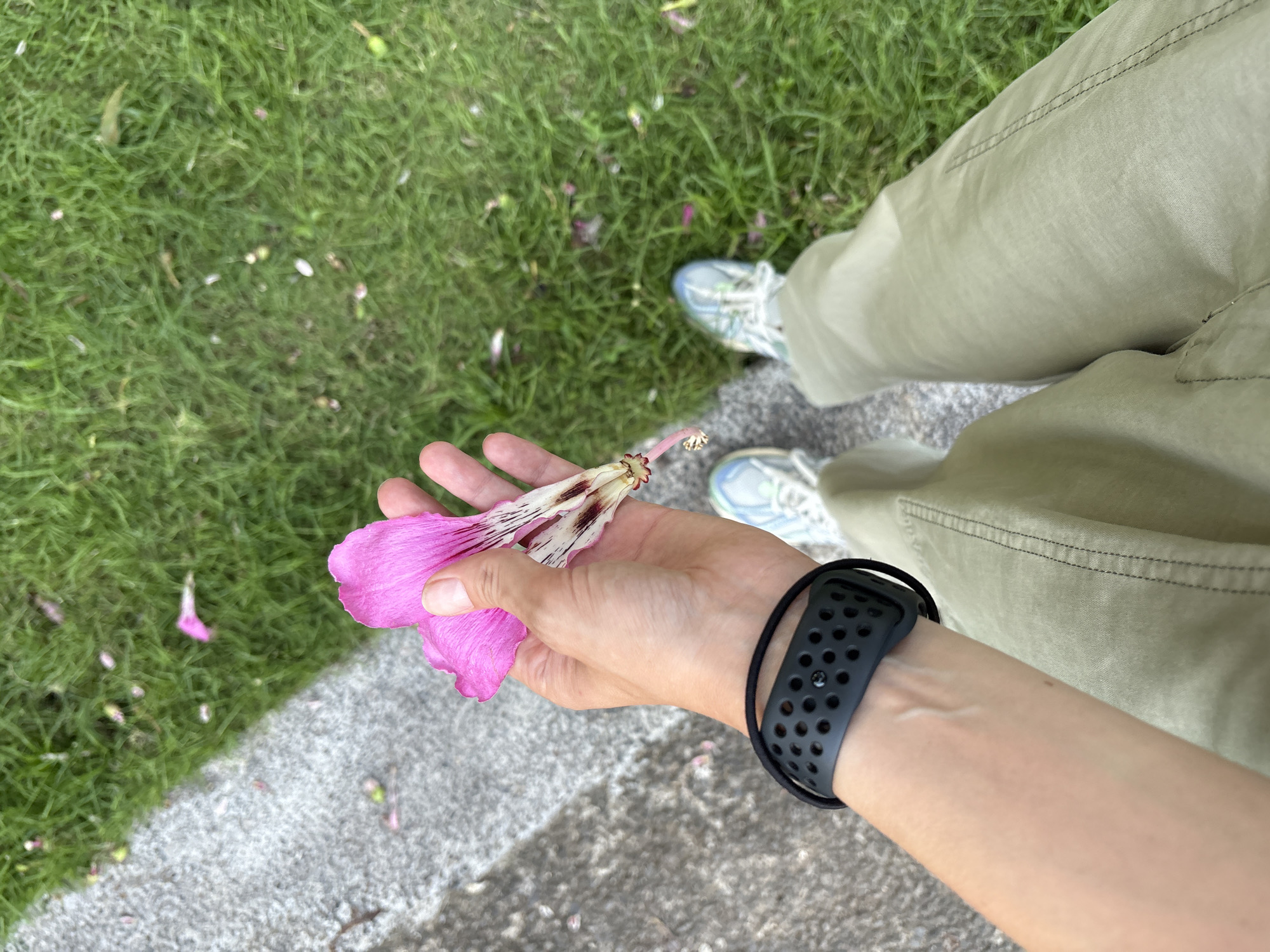 A person stands outdoors in Kuta Selatan, Indonesia, with green grass and a concrete walkway visible. The person wears olive green pants, athletic shoes with light blue accents, and a black sports watch. The person's left hand holds a pink and white flower. Fallen flower petals are scattered on the grass.