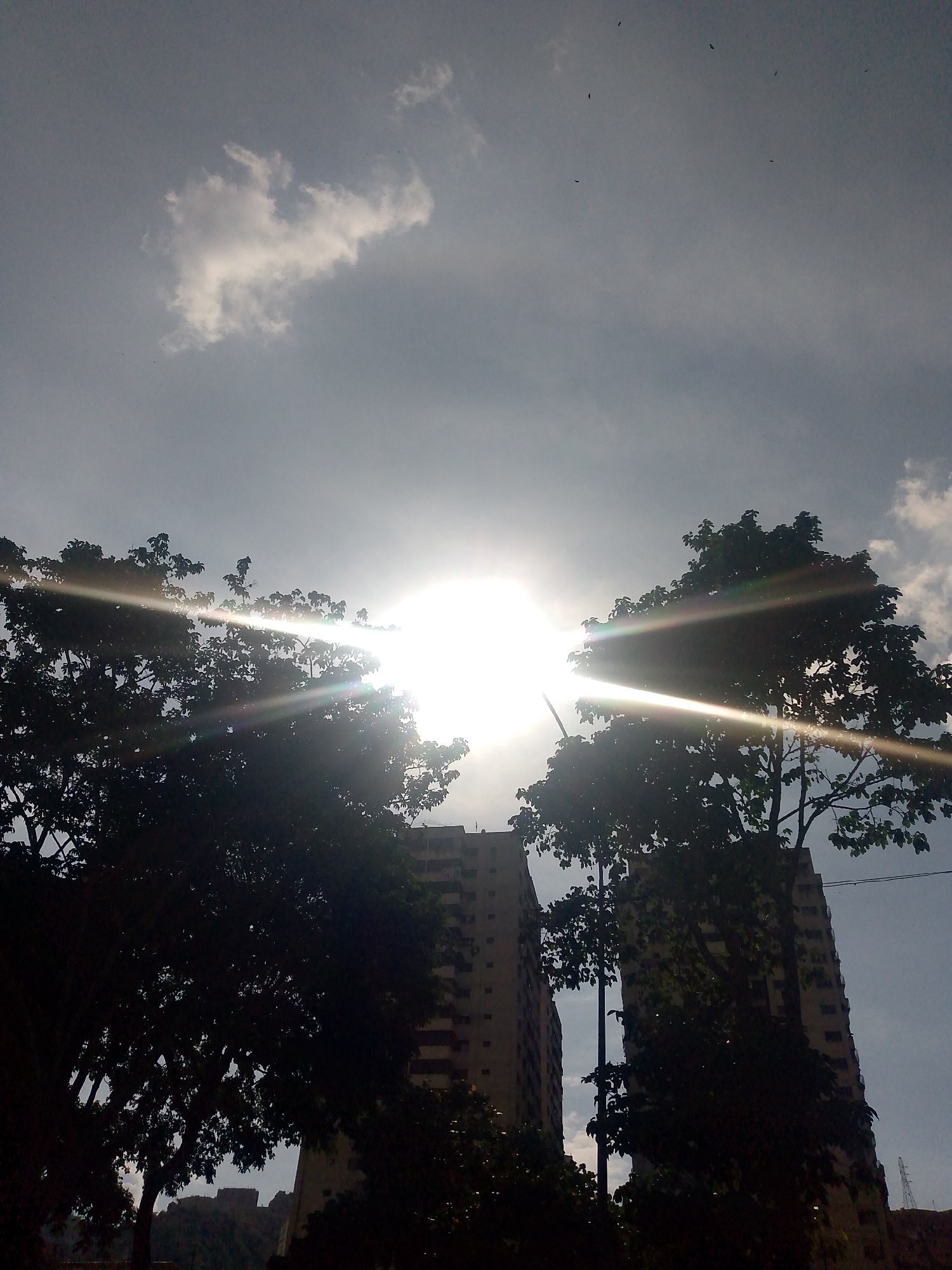 The photograph captures a cityscape scene in Caracas, Venezuela. In the foreground, two tall apartment buildings are partially obscured by trees. The sun shines brightly between the trees and buildings, creating a lens flare effect. A few small birds are visible in the sky. The sky is light gray with some clouds. The buildings are light-colored. A silhouette of a mountain is visible in the background to the left.
