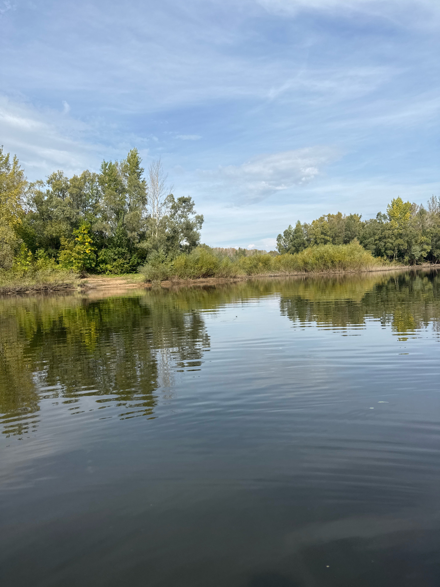 A serene body of water, reflecting the trees and sky, is captured in a photograph taken in Ufa, Russia. The scene depicts a natural landscape with a distinct autumnal feel, characterized by the lush green and yellow foliage of the trees lining the far bank. The sky above is a soft blue, punctuated by wispy white clouds, creating a gentle and tranquil atmosphere. The water's surface is subtly rippled, adding a dynamic element to the otherwise still composition. The reflection of the trees and sky on the water is a prominent feature, mirroring the natural beauty of the surroundings. There are no people or any discernible human activity present in the image. The overall impression is one of peace and natural abundance, likely a scene found in one of Ufa's many parks or natural reserves.