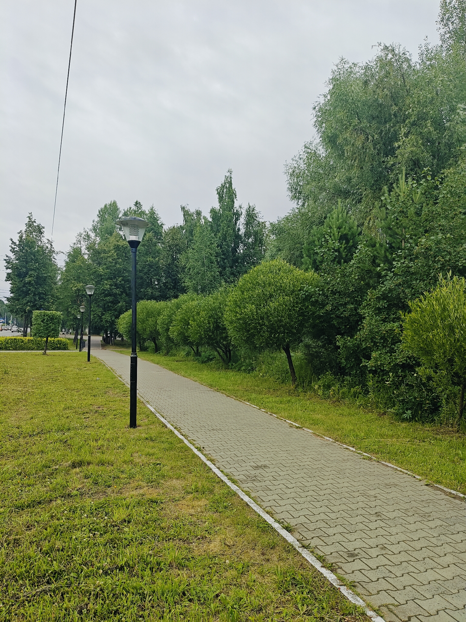 This is a medium-angle, eye-level shot of a paved walkway in a park or residential area on an overcast day. The walkway, made of interlocking gray pavers with a white border, recedes into the distance, curving slightly to the right. To the left of the walkway is a well-maintained lawn with patches of clover and some dried grass. Beyond the lawn, there are several streetlights with modern, dome-shaped lamps on black poles. Further left, more manicured bushes and trees are visible, and beyond them, cars can be seen on a road, suggesting an urban or suburban environment.
To the right of the walkway, a dense line of trees and shrubs forms a green barrier. These include perfectly spherical, topiaried bushes, taller trees with wispy leaves, and smaller, bushy plants. The foliage is lush and green, indicative of a temperate climate during the warmer months. The sky is uniformly gray and cloudy, suggesting it might be morning or afternoon, but without direct sunlight. The overall mood is peaceful and serene, with a focus on the natural elements and the pedestrian infrastructure. No people are visible in the image. The location is identified as Chaikovsky, Russia.