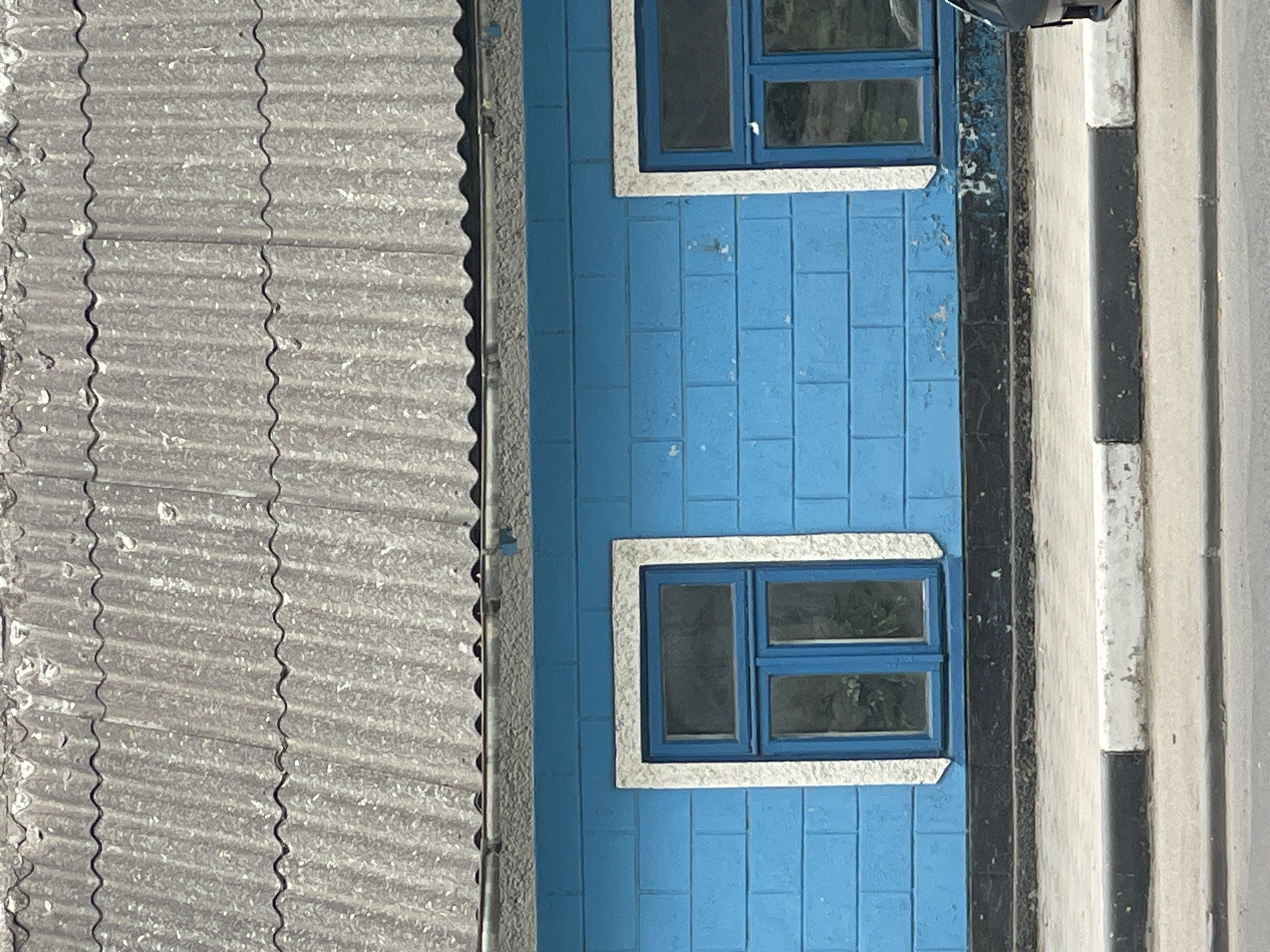 This is an aerial, eye-level shot of a blue building with two windows. The building is adjacent to a corrugated metal roof, which occupies the left half of the frame. The building's facade is made of blue painted bricks. The windows have blue frames and are divided into multiple panes, with reflections of greenery visible within them. The window frames are outlined by a rough, textured material, possibly concrete or stone. To the right of the building, there is a striped border of black and white, resembling a curb or wall. The overall scene appears to be outdoors during the daytime, with bright lighting casting subtle shadows. The location appears to be urban or semi-urban, possibly residential or commercial, given the building structure and adjacent features. There is no visible text in the image. The weather appears to be clear and sunny. The building shows signs of wear and tear, with peeling paint and weathered textures, suggesting an older structure.
