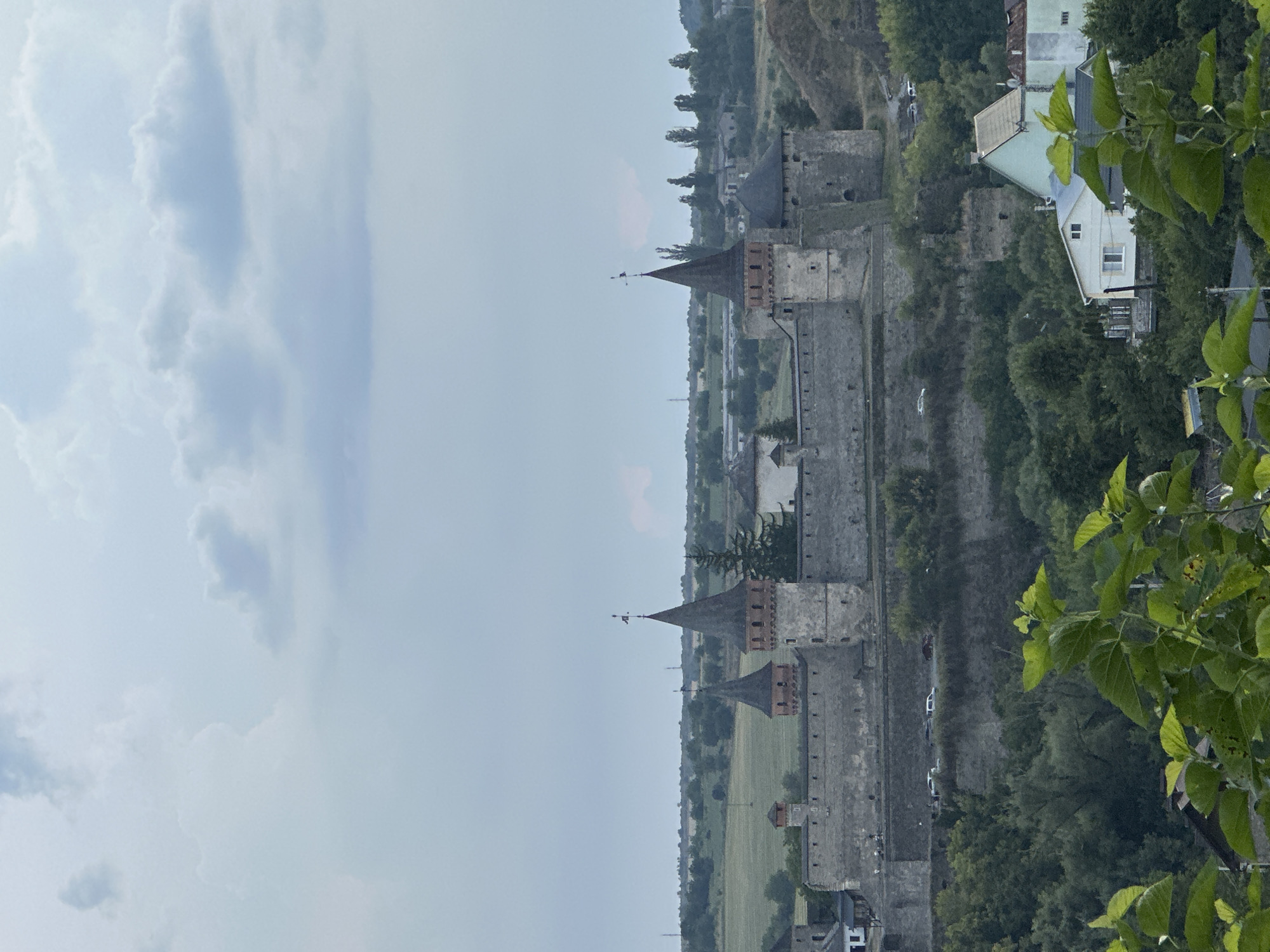 The image shows the Kamianets-Podilskyi Castle in Kamianets-Podilskyi, Ukraine. The castle is a large, imposing stone fortress with multiple towers, some of which are conical and topped with flags. The fortress is situated on a hill, with a wall running along the perimeter. Below the castle, there are trees, houses, and a road with several vehicles. The sky is overcast with clouds. The foreground features green leaves of plants.