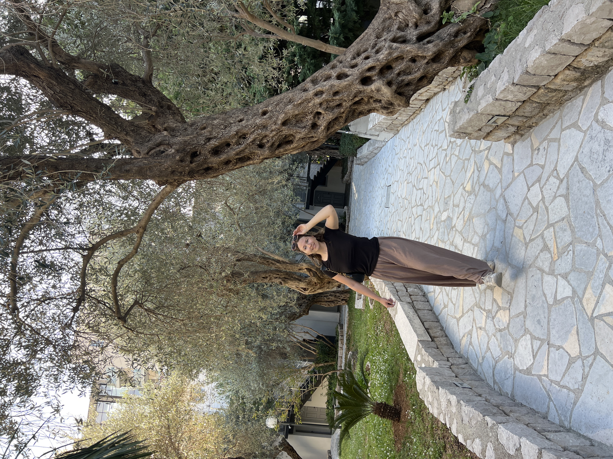 A young woman stands in a garden path in Petrovac na Moru, Montenegro. She is positioned on a light-colored stone path with stone borders, wearing a black t-shirt and brown pants. Her left hand is raised towards her head, and she is smiling. Behind her is a very old, large olive tree with a gnarled trunk that stretches across the path. The path leads towards buildings in the background. Lush greenery and small plants border the path, along with a small palm tree. The scene is lit with sunlight.