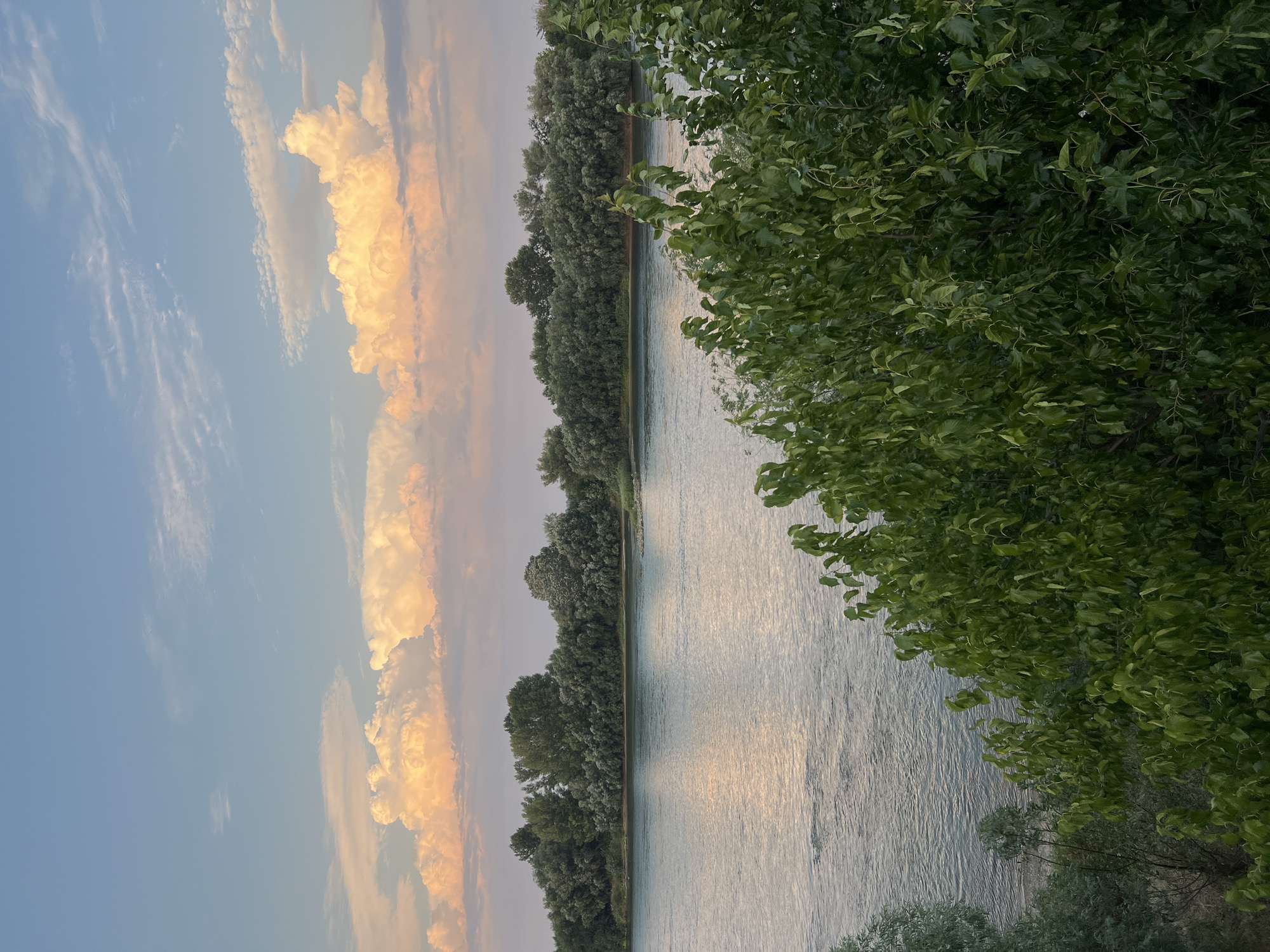 The image depicts a wide river bordered by a dense line of trees under a pale blue sky with scattered, brightly lit clouds. The clouds are illuminated with warm, peachy tones, suggesting either sunrise or sunset. The river's surface reflects the sky and surrounding foliage, showing gentle ripples. In the foreground, lush green leaves from a tree partially obscure the view of the river and the opposite bank. The scene appears to be a natural landscape, likely a park or a natural reserve. The location is identified as the Dniester River in Bender, Moldova.