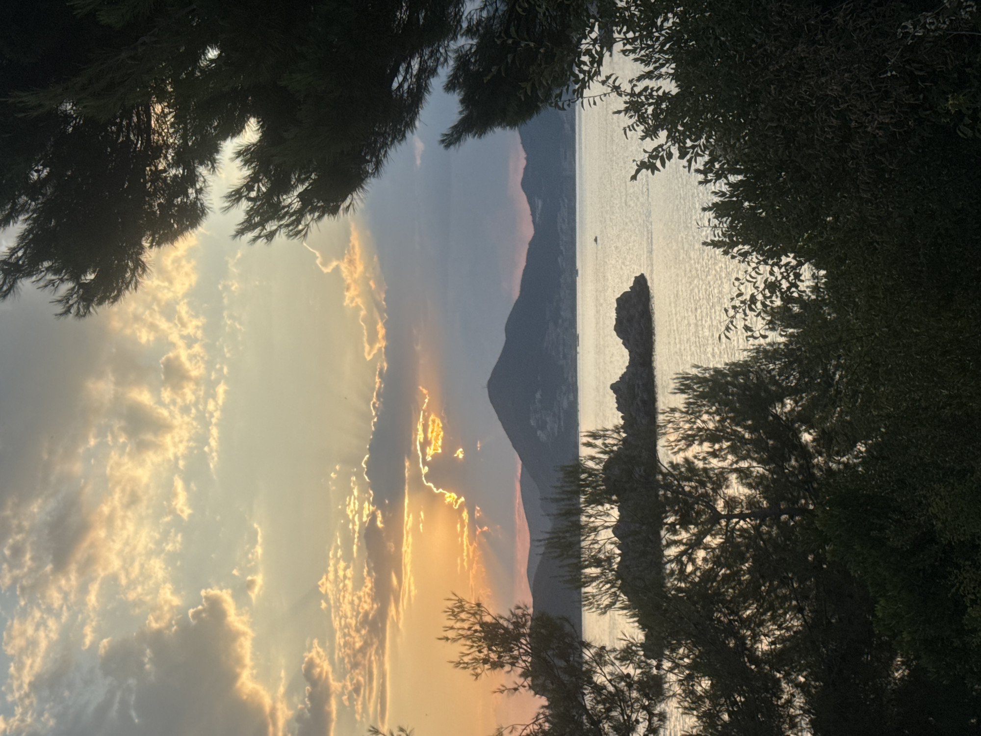 This is a vertical, outdoor photograph taken at sunset. The foreground is dominated by dark, silhouetted foliage of trees framing the scene from the top and right edges. The middle ground features the calm sea reflecting the soft light of the setting sun. A prominent, jagged rock formation rises from the water on the right side of the frame. In the distance, a mountainous coastline is visible, with soft pink and purple hues suggesting the twilight. The sky is a canvas of dramatic clouds, with the sun, partially obscured, casting golden rays and illuminating the clouds with warm tones of yellow and orange. The overall mood is serene and picturesque, capturing the tranquil beauty of a coastal sunset. The time of day is clearly sunset, indicated by the warm, low-angled light and the colors in the sky and on the water. There are no visible people, objects, or text. The location context of Sveti Stefan, Montenegro, implies a coastal European setting, which aligns with the visual elements of the sea, rocky outcroppings, and mountainous terrain.