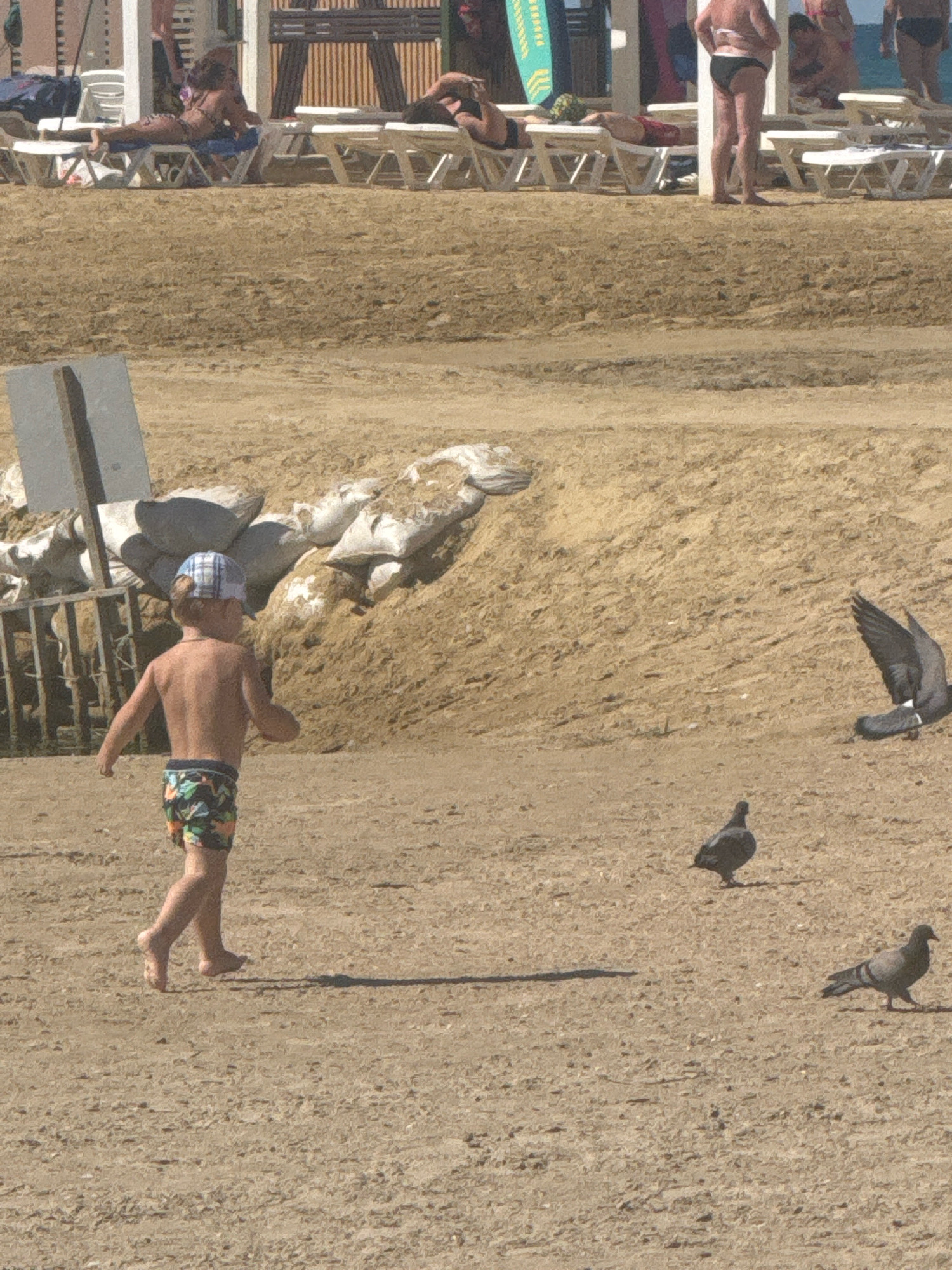 In Anapa, Russia, on a sun-drenched beach, a young boy in a checkered cap and patterned swim trunks runs across the sand. His back is to the camera, and his body is angled as if in mid-stride. Two pigeons peck at the ground near him, one further away and the other closer. In the background, a larger pigeon with outstretched wings takes flight against a backdrop of sand dunes and a beachside structure with white lounge chairs. People are visible further back, some lounging on chairs and others standing near the water.