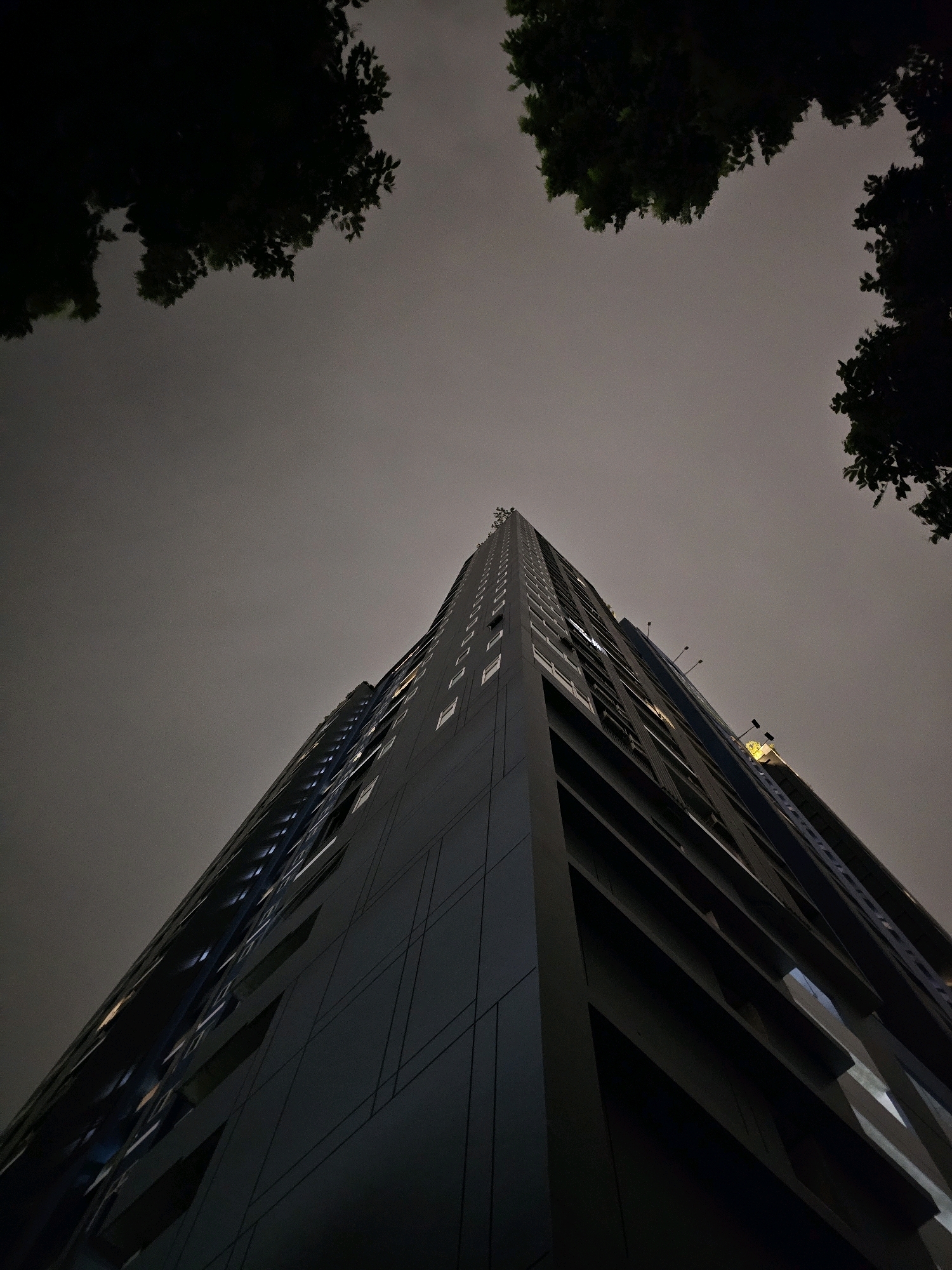 A low-angle, full-frame shot captures a dark, modern skyscraper from its base, stretching upwards into a hazy, overcast sky. The building's facade is a sleek, dark gray material, segmented by faint horizontal and vertical lines. Numerous small, white rectangular windows are visible along its height, with some emitting a faint yellow or blue light, suggesting occupied floors. At the very top, the building tapers to a point, and some sparse, dark green foliage can be seen protruding from the roofline.
Framing the top corners of the image are the dark silhouettes of tree branches and leaves, appearing as if they are growing from the foreground, further emphasizing the upward perspective. The sky itself is a uniform, dull gray, devoid of any discernible features like clouds or stars, and faintly illuminated, suggesting it is nighttime or very early morning.
The composition is stark and geometric, with the dominant vertical line of the skyscraper contrasted by the organic shapes of the trees at the edges. The overall impression is one of urban density and upward aspiration, with a touch of nature encroaching. The image lacks any human presence, vehicles, or specific landmarks that would definitively place it within Bangkok, Thailand, or any other specific city.