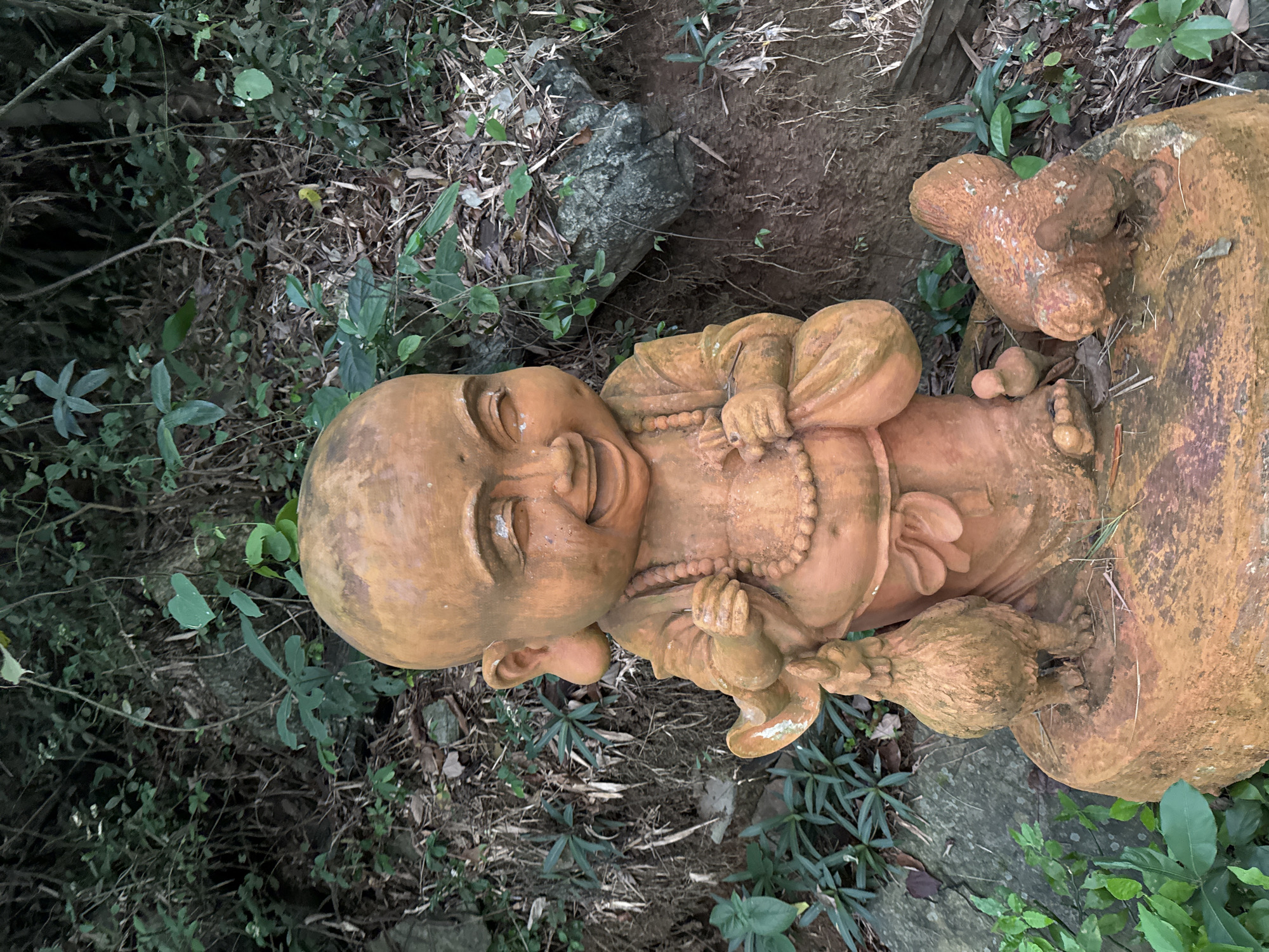 The image depicts a terra cotta statue of a laughing child monk standing on a circular base, situated outdoors amidst lush greenery and rocks. The child monk is depicted with a shaved head, large ears, and a wide smile, wearing a robe and adorned with a beaded necklace. It holds a sack in its right hand and a rooster figurine in its left. Two smaller bird figurines are also present on the base, one to the right of the child monk and another to its left. The background consists of dense foliage, dried leaves, and various rocks, suggesting a natural, possibly forested, environment. The lighting suggests it is daytime, with diffused natural light illuminating the scene. The statue is placed on the ground, surrounded by the natural elements of its environment. The location is specified as Tây Hoa Lư Ward, Vietnam, which implies an outdoor setting within this region.
