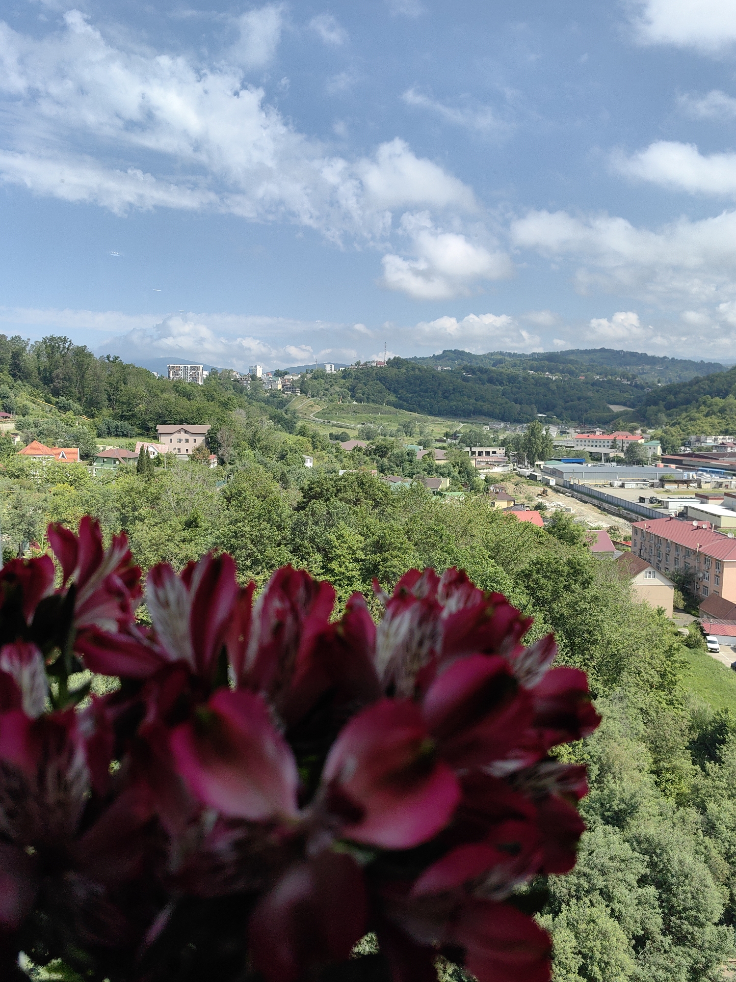 The image depicts a panoramic view of a densely forested valley with scattered residential buildings and industrial structures, under a partly cloudy sky. In the foreground, a cluster of deep pink flowers with white speckles is out of focus, framing the scene. The middle ground reveals a landscape dotted with houses of varying architectural styles, some with red-tiled roofs, interspersed with lush green trees and vegetation. Further in the distance, the terrain rises into rolling hills covered in dense forest. On the right side of the image, a more urbanized area is visible, featuring a long, low-lying industrial building with a metal roof, adjacent to other commercial or residential buildings with visible windows and balconies. A white van is parked on a slight incline on the right. The sky is a clear blue with scattered white cumulus clouds. The scene appears to be a daytime shot, likely during warmer months, given the vibrant greenery. The overall impression is that of a town nestled within a natural, hilly environment.