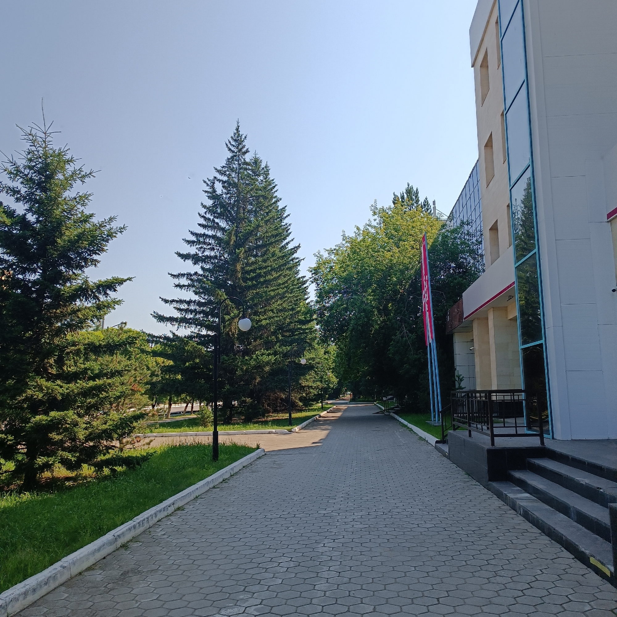 The image depicts an outdoor scene on a clear day, likely in Kokshetau, Kazakhstan, given the building's architectural style which is typical of public institutions in the region. In the foreground, a hexagonal-patterned paved walkway stretches into the distance, bordered by a concrete curb and a strip of green grass. Several mature evergreen trees, likely firs, stand to the left of the walkway, their branches casting dappled shadows. A lamppost with a spherical white light fixture is visible on the left side of the path.
To the right of the walkway, a modern building with a light-colored facade and large blue-tinted glass windows dominates the scene. A red and white banner is affixed to a pole in front of the building, partially obscured by trees. The building has a prominent entrance with a dark railing and a set of concrete stairs leading up to it. The sky is a clear, pale blue. The environment appears serene and well-maintained, suggesting a public space like a park or the grounds of an institution. There are no people visible in the frame.