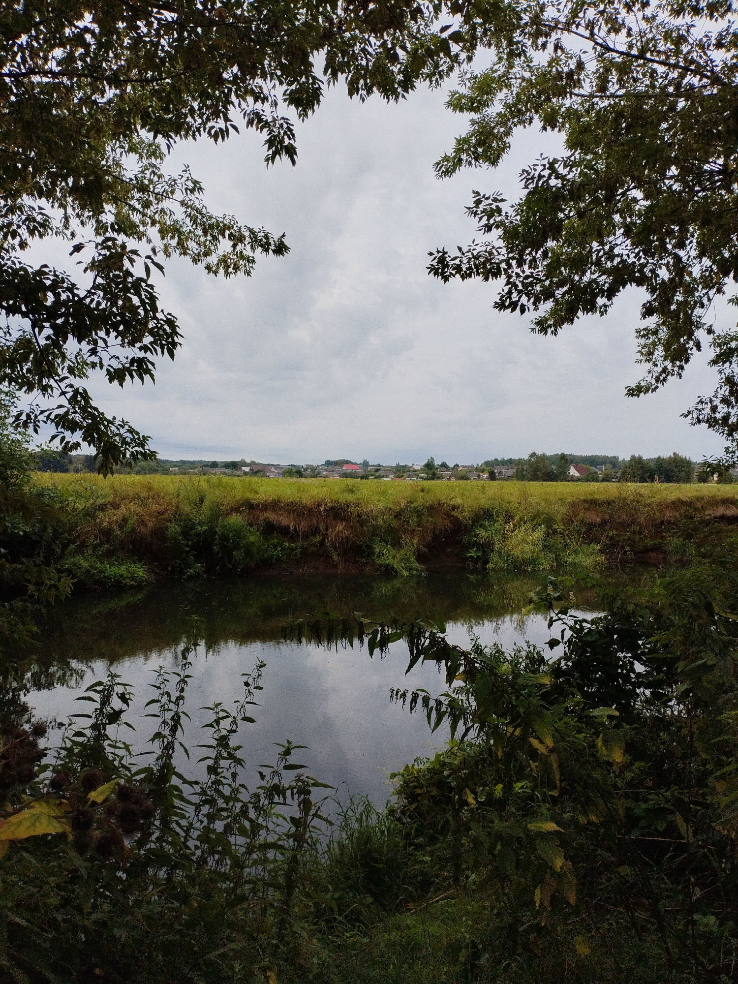 The image depicts a tranquil natural scene with a body of water in the foreground, bordered by lush green vegetation and trees. The water reflects the overcast sky and surrounding foliage. Beyond the water is a wide expanse of dry grass and green fields, with a distant village or settlement visible on the horizon. The architecture of the houses suggests a rural Belarusian setting, consistent with locations in Bialynichy. The overall atmosphere is serene and undeveloped.