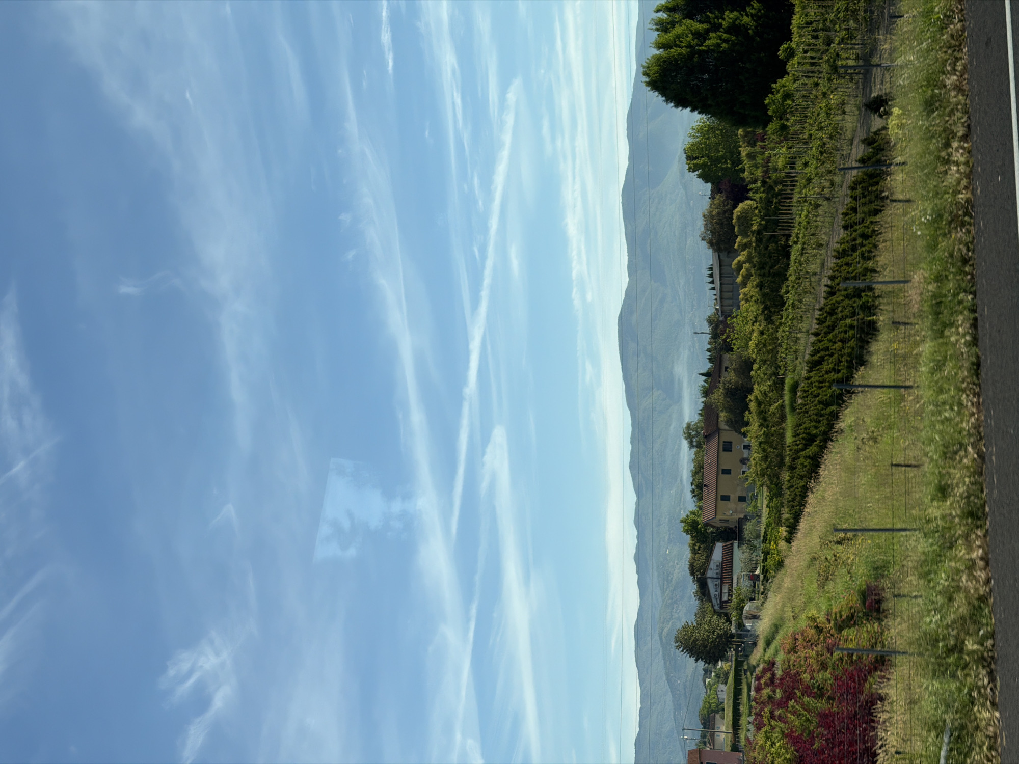 The photograph shows a view of the landscape outside Pistoia, Italy. The sky is blue with wispy white clouds. Mountains are visible in the distance, shrouded in a light haze. In the foreground, there is a mix of vegetation, including green trees, grass, and some red and purple flowering plants. Also visible are some houses and structures. A roadside barrier and a portion of what appears to be a road are present in the right foreground. Vineyards stretch across the landscape.