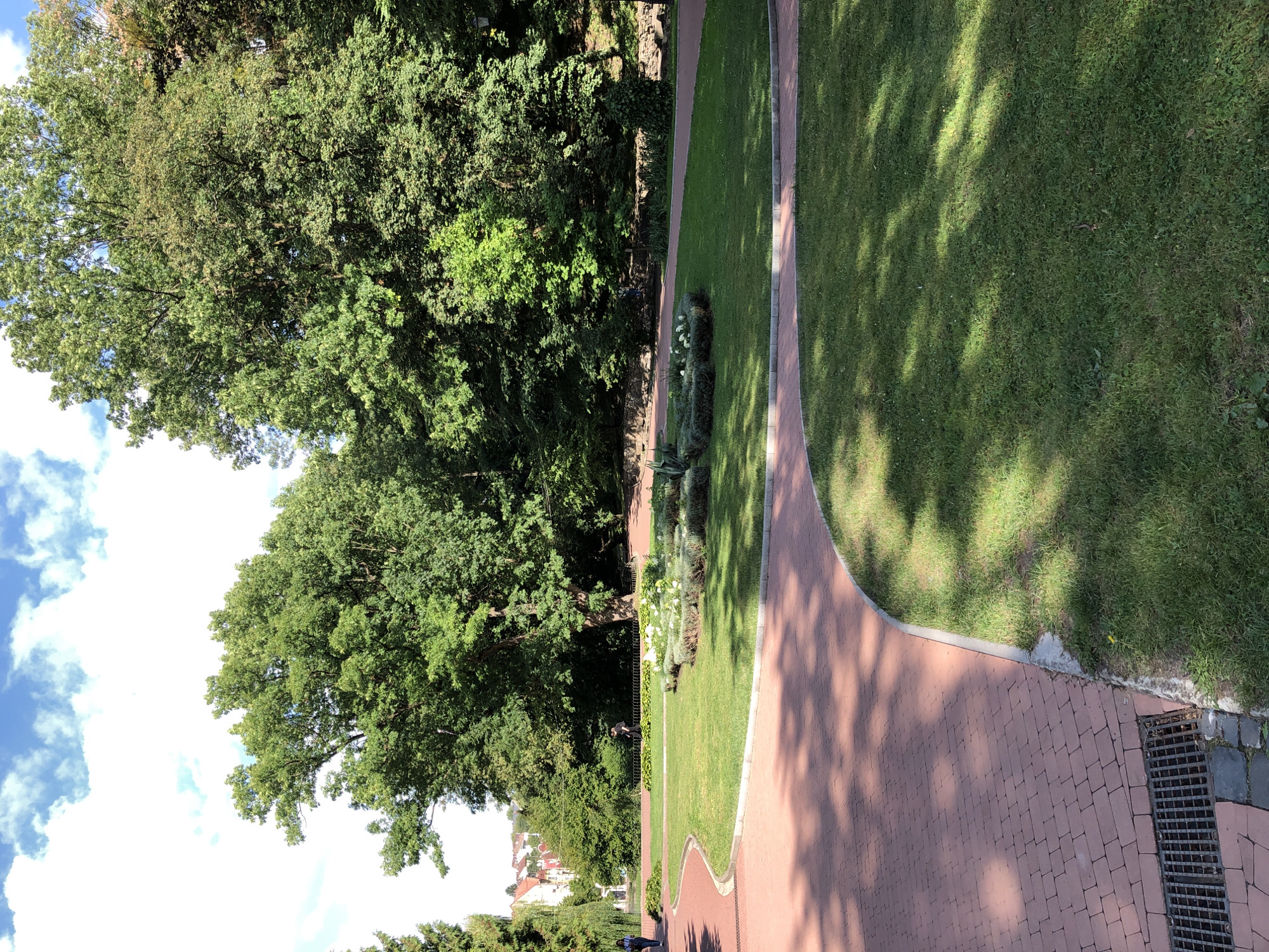 The image depicts a park scene with paved walkways and lush green grass. In the background, there are several large, mature trees providing shade. A path, made of red bricks, curves through the foreground and into the mid-ground, bordered by a strip of green grass. Beyond the grass, there are flower beds with white and green foliage. Further in the distance, a row of buildings with red roofs can be seen, suggesting an urban setting. Two individuals are visible walking on a path in the mid-ground, one appearing to be wearing dark clothing and the other a blue top. The sky above is a clear blue with scattered white clouds. The overall impression is a well-maintained public park on a sunny day. This park is identified as Ivan Franko Park in Lviv, Ukraine.