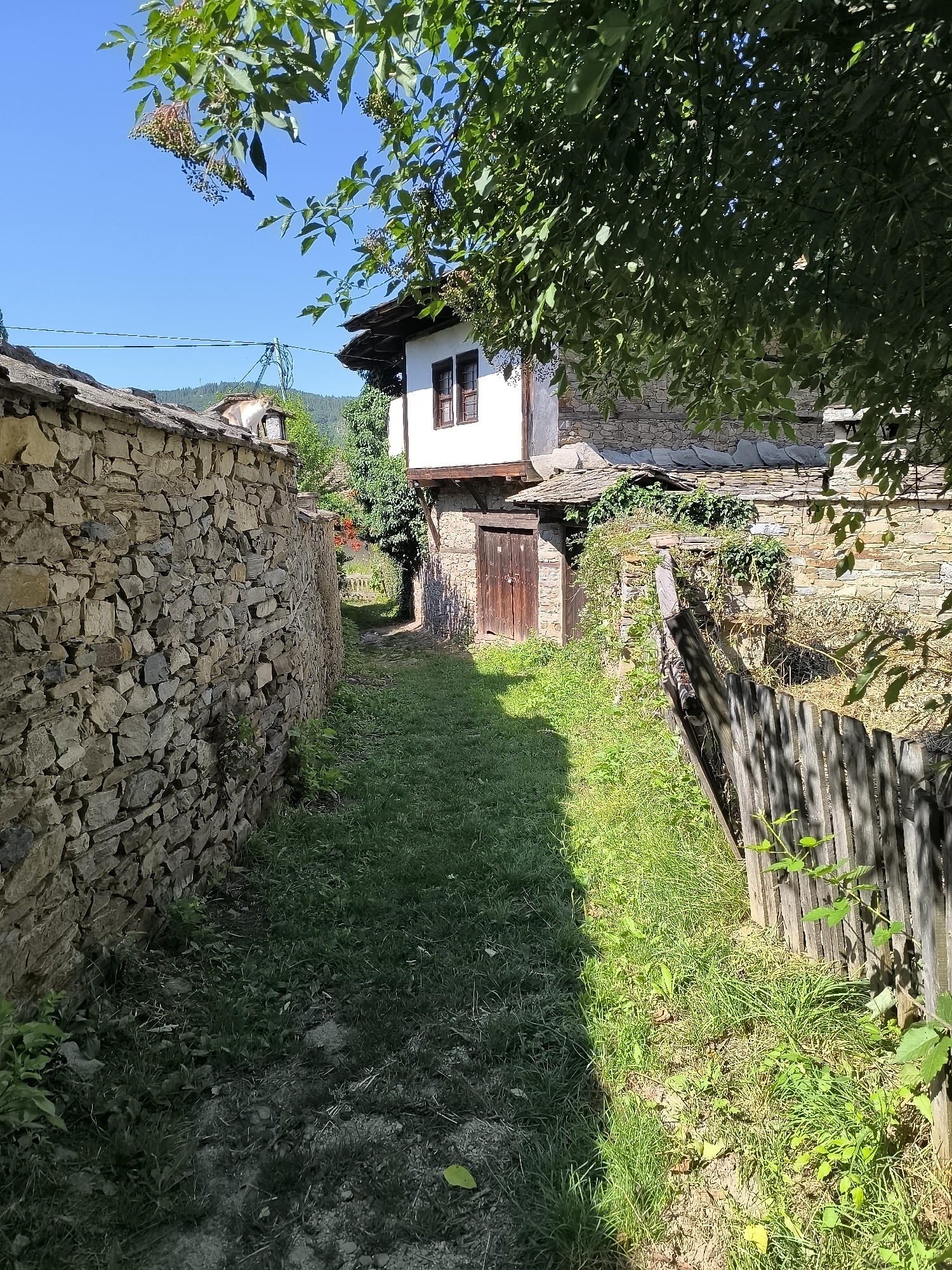 A cobblestone path winds between two stone walls in the village of Kovachevitsa, Bulgaria. Lush green grass lines both sides of the path, with a weathered wooden fence on the right. A white-washed house with a dark wooden door and windows stands at the end of the path, partially obscured by overhanging green leaves. The sky above is a clear, bright blue. The scene is bathed in sunlight, creating dappled shadows.