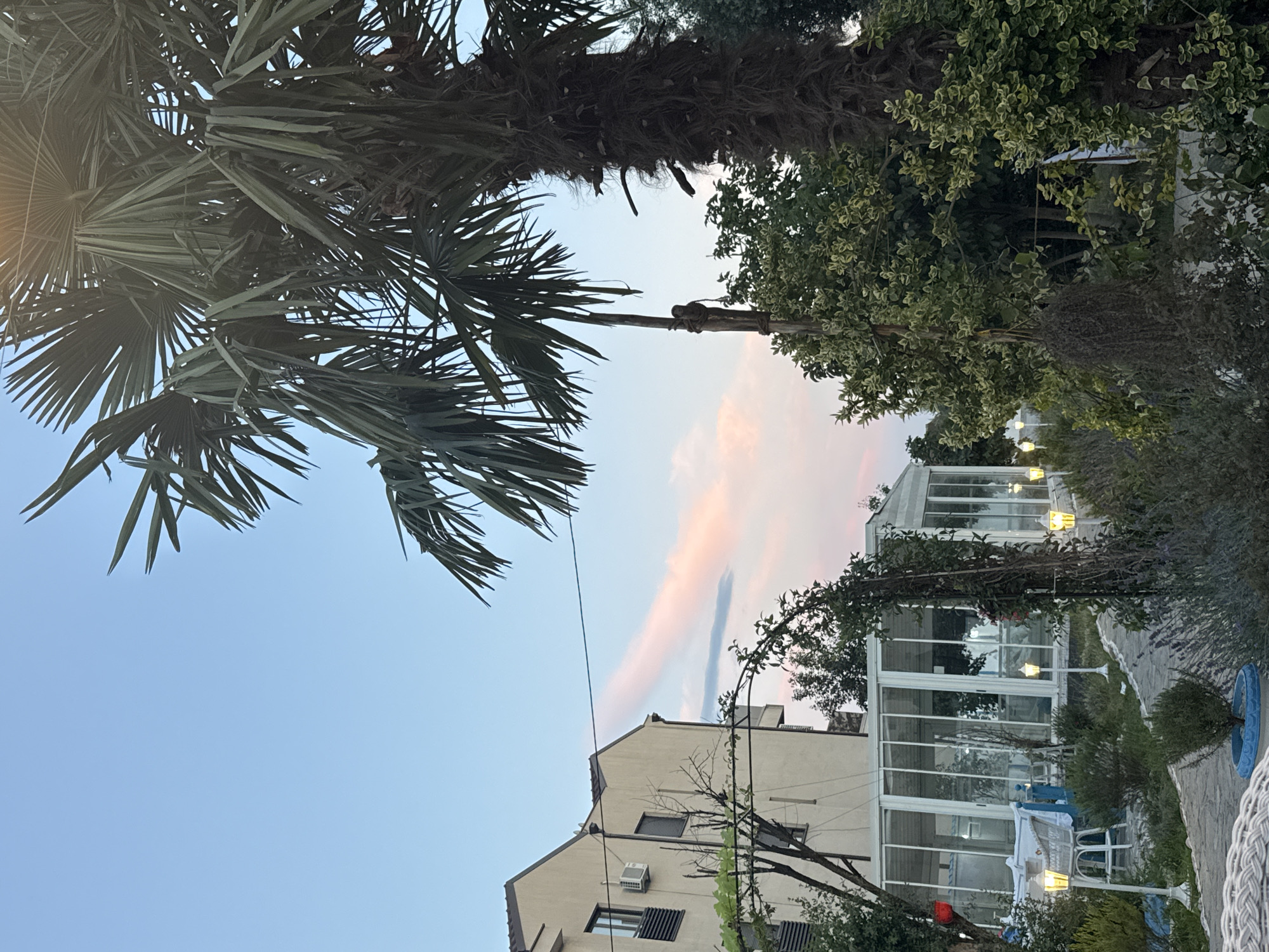 A tall palm tree is in the foreground on the right of the image, with its fronds extending towards the top and right of the frame. To the left of the palm tree, a light-colored building with balconies and windows is visible. In front of the building is a glass-enclosed structure, possibly a greenhouse or sunroom, with white outdoor lamps lining a stone pathway leading towards it. Lush greenery, including bushes and vines, surrounds the pathway and the structures. The sky is clear with a faint pink and orange cloud streak visible in the upper right quadrant. The overall scene depicts an outdoor area with vegetation, buildings, and ambient lighting, suggesting a potentially serene or recreational setting.