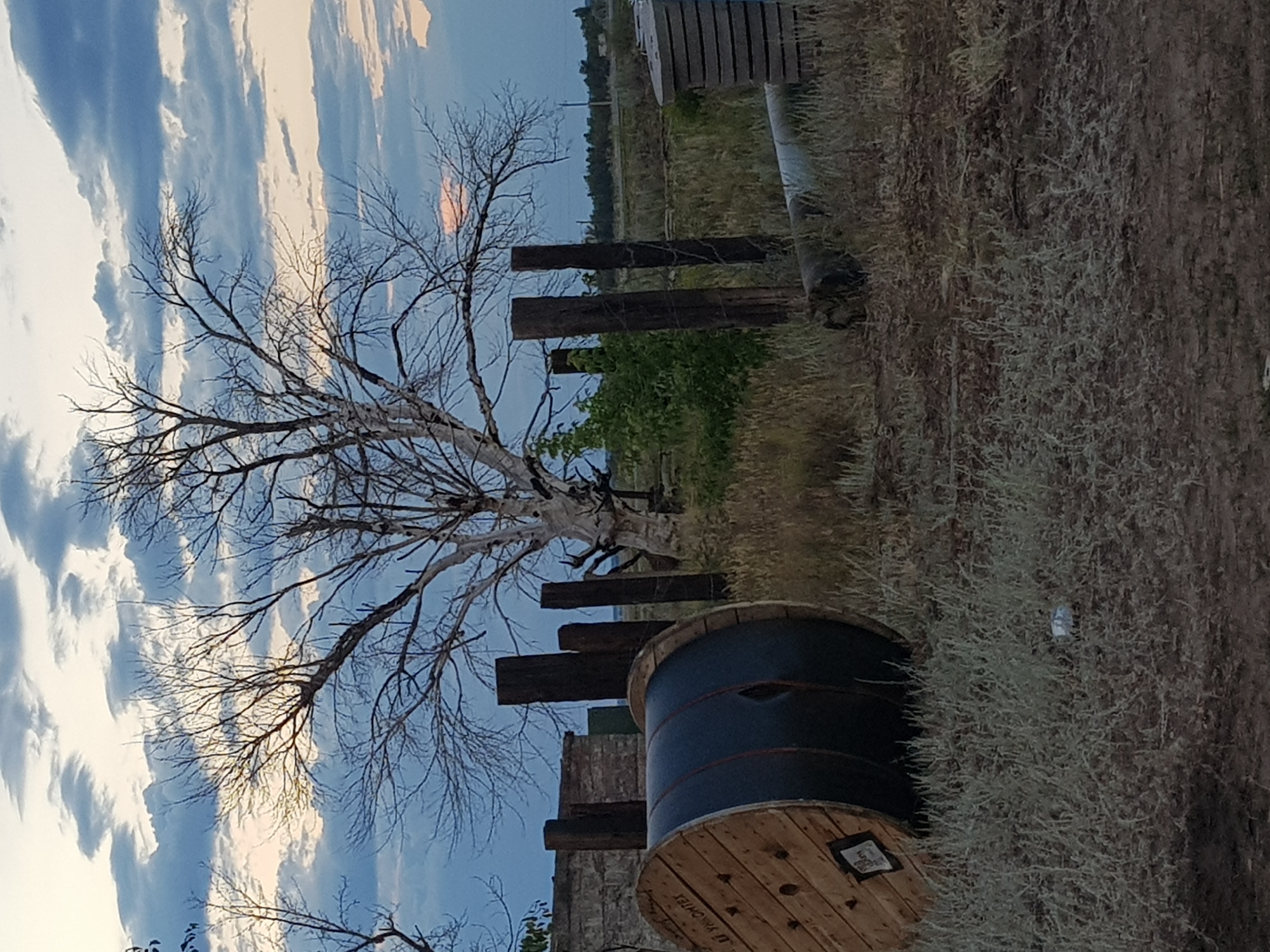 This media file depicts an outdoor scene with a stark, dead tree in the foreground. The tree's bare branches create a silhouette against a sky filled with dramatic clouds, suggesting either dawn or dusk with hints of orange and pink in the sky.
To the right of the tree, a large, wooden cable spool with a dark band around its circumference is prominently placed. Beyond the spool, the ground is covered in dry, sparse vegetation. Several dark wooden posts are also visible, some appearing to be part of a fence or structure. In the background, there is a flat landscape with scattered trees and a building or structure with a ribbed, vertical surface. The overall impression is one of a rural or semi-abandoned location.
There is some faint, unreadable text on the wooden spool. The lighting and sky suggest a time of day around sunrise or sunset, and the dry vegetation indicates a potentially arid climate. The scene evokes a sense of quiet or desolation.