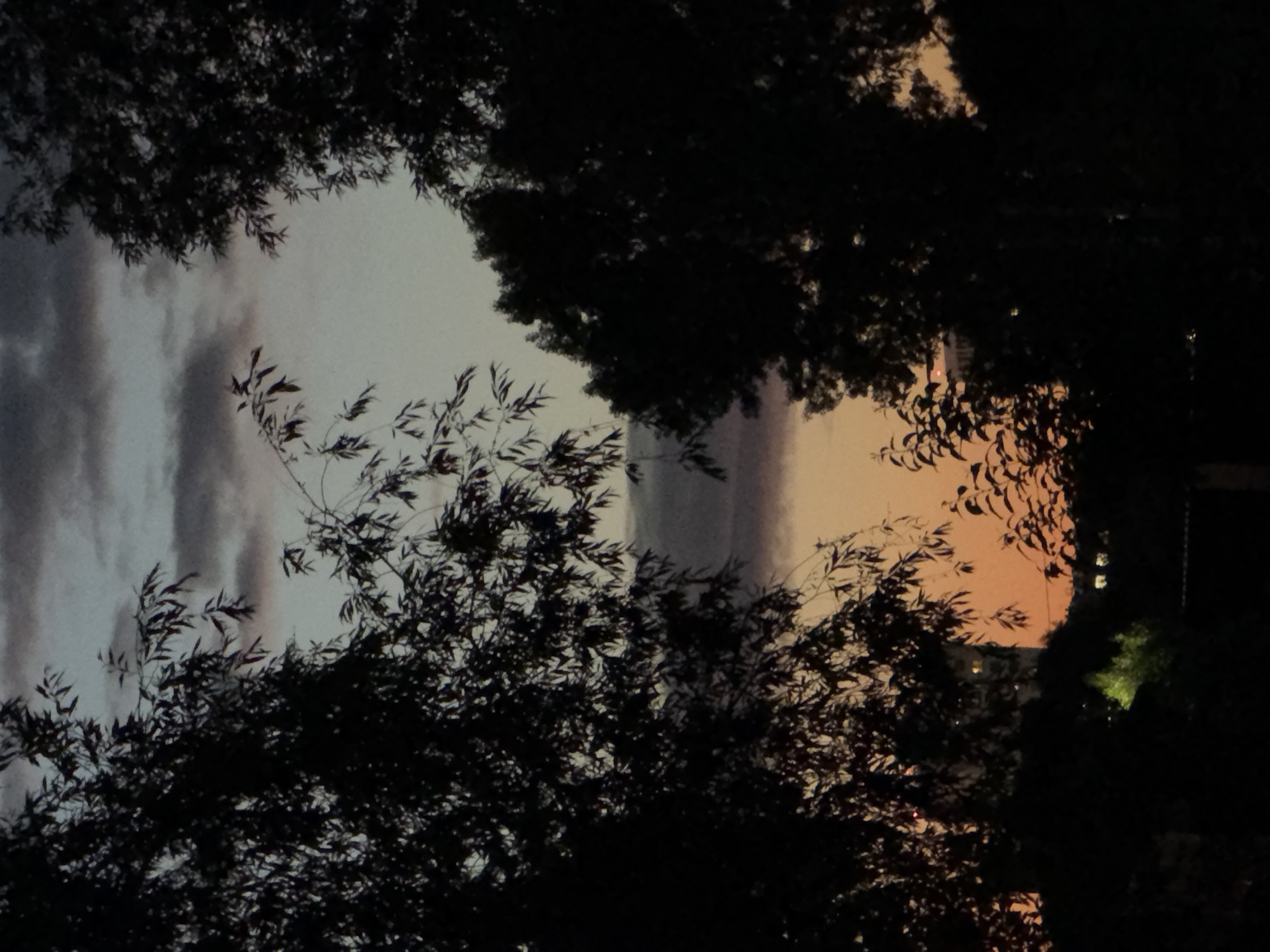 A dark, silhouette-filled image captures a twilight sky over a city. Silhouetted trees frame the view, with branches and leaves appearing as dark shapes against the gradient of the sky. The sky itself transitions from a pale blue at the top to shades of orange and pink near the horizon. Faintly visible in the distance, through the trees, are the outlines of buildings and a few illuminated windows, suggesting an urban environment. The overall mood is serene and contemplative, with the natural elements of the trees contrasting with the man-made structures of the city.